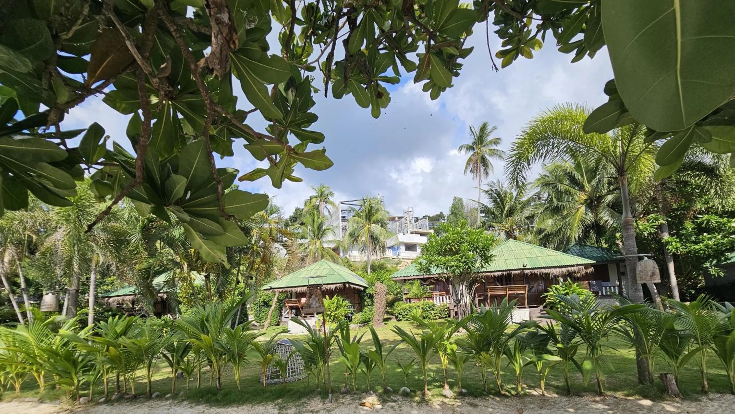 Garden in Sense Asia