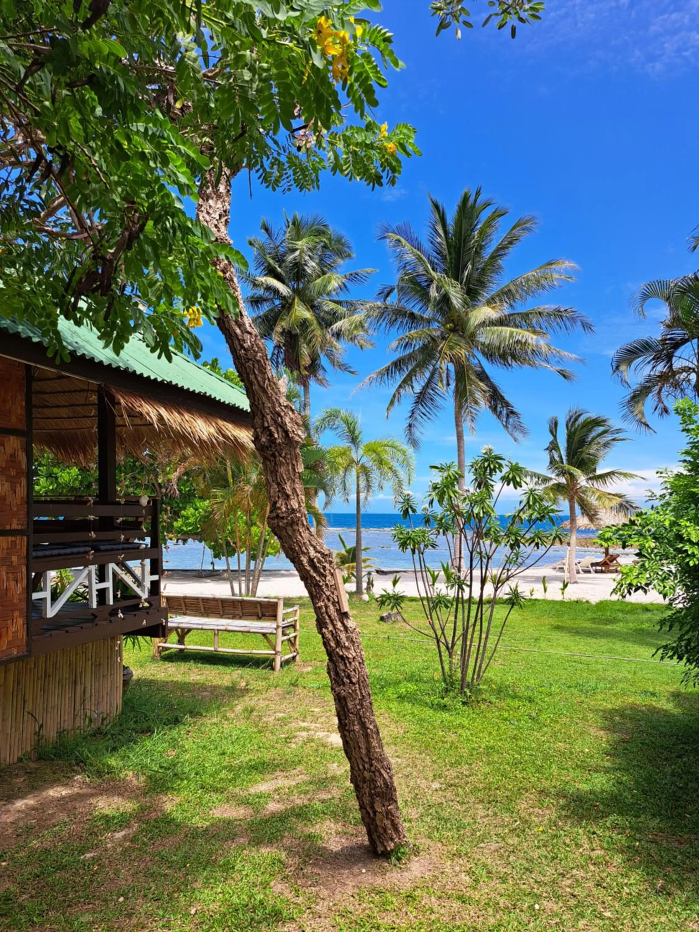 Garden in Sense Asia