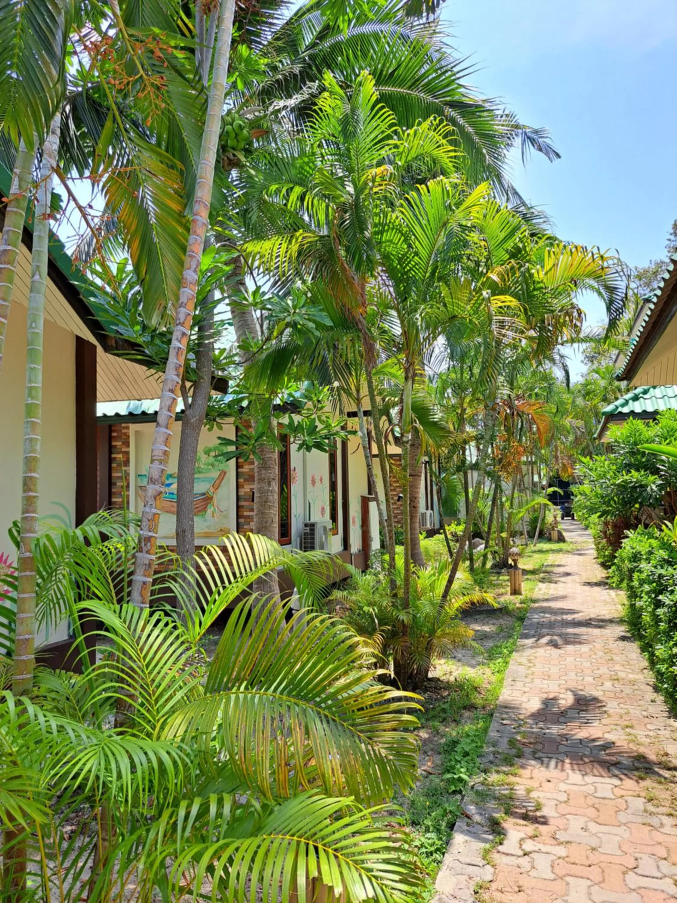 Garden in Sense Asia