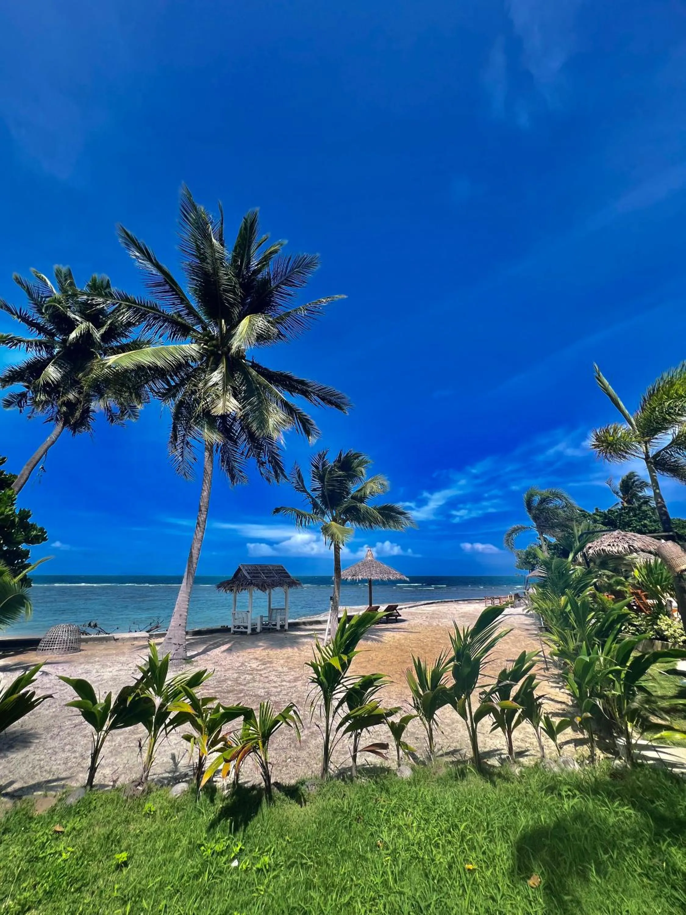 Garden in Sense Asia