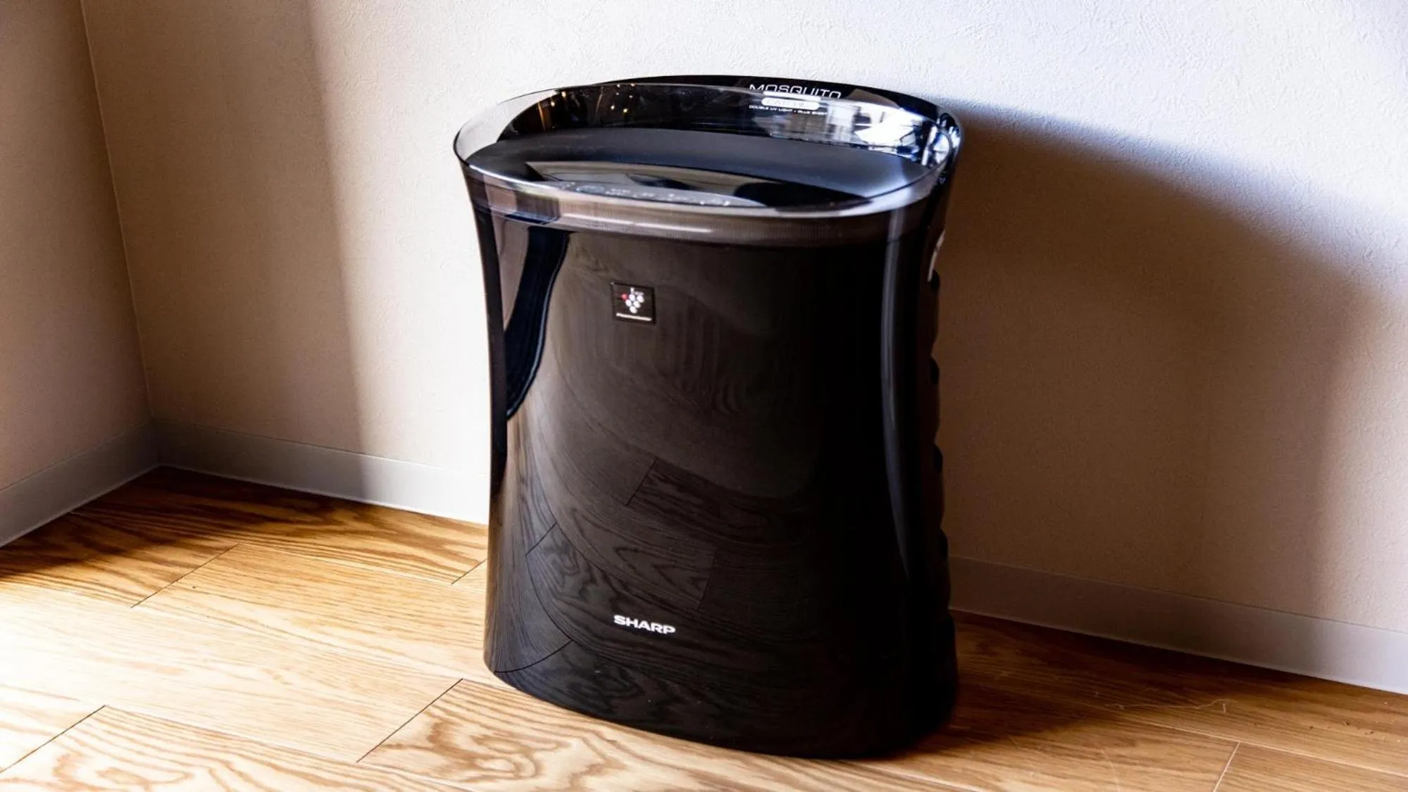 Rakuten STAY MOTEL Nikko Kinugawa Standard Room