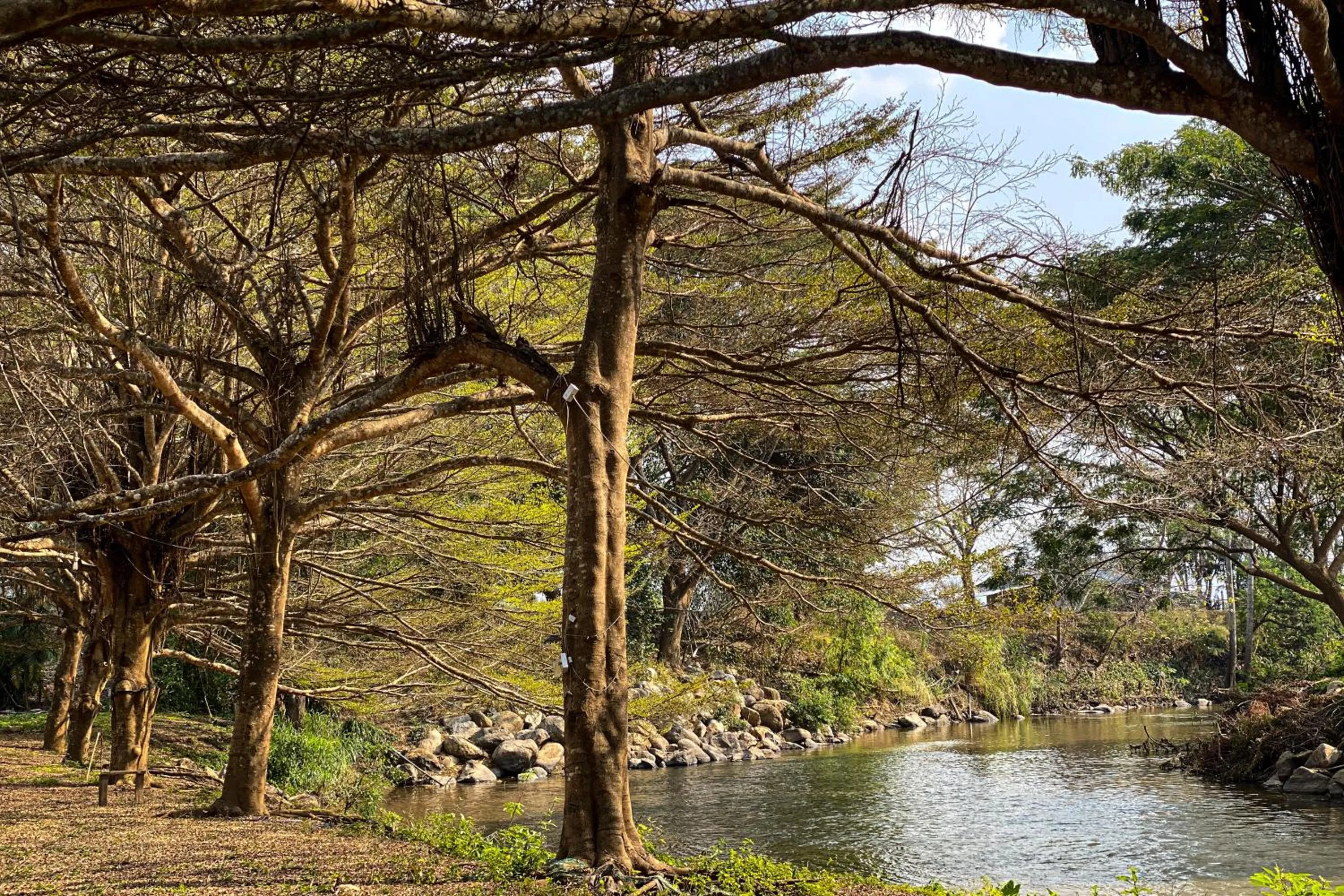 River view in Re Connect Pai - Keys Resort
