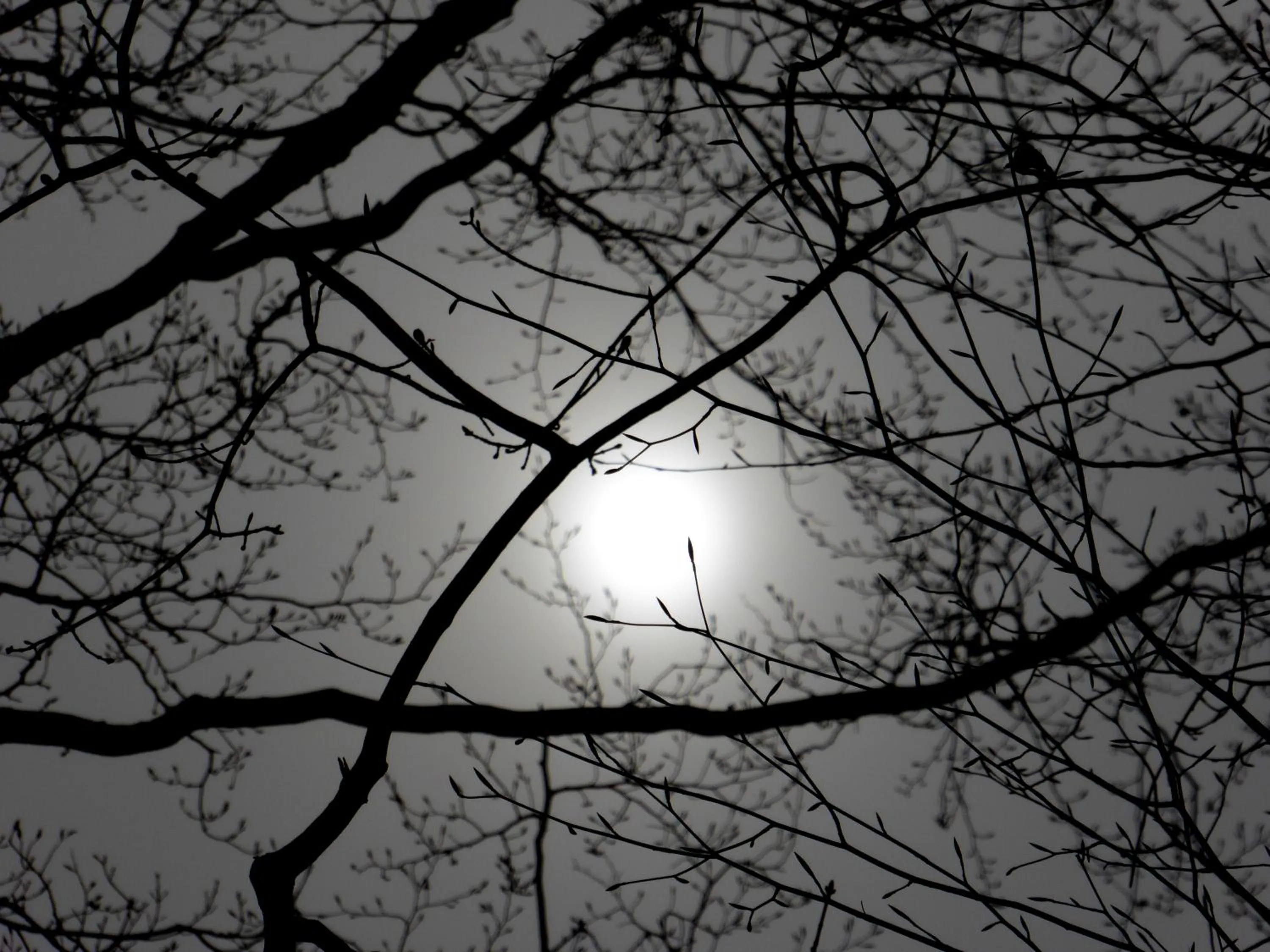 Natural landscape in Chez Jean et Daisy