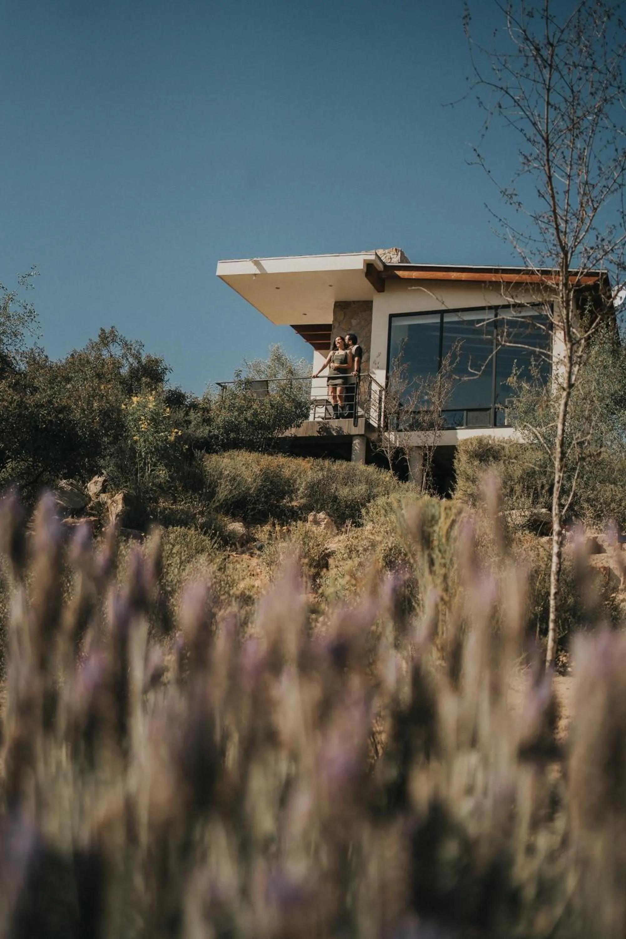 Garden view in Oasis 444