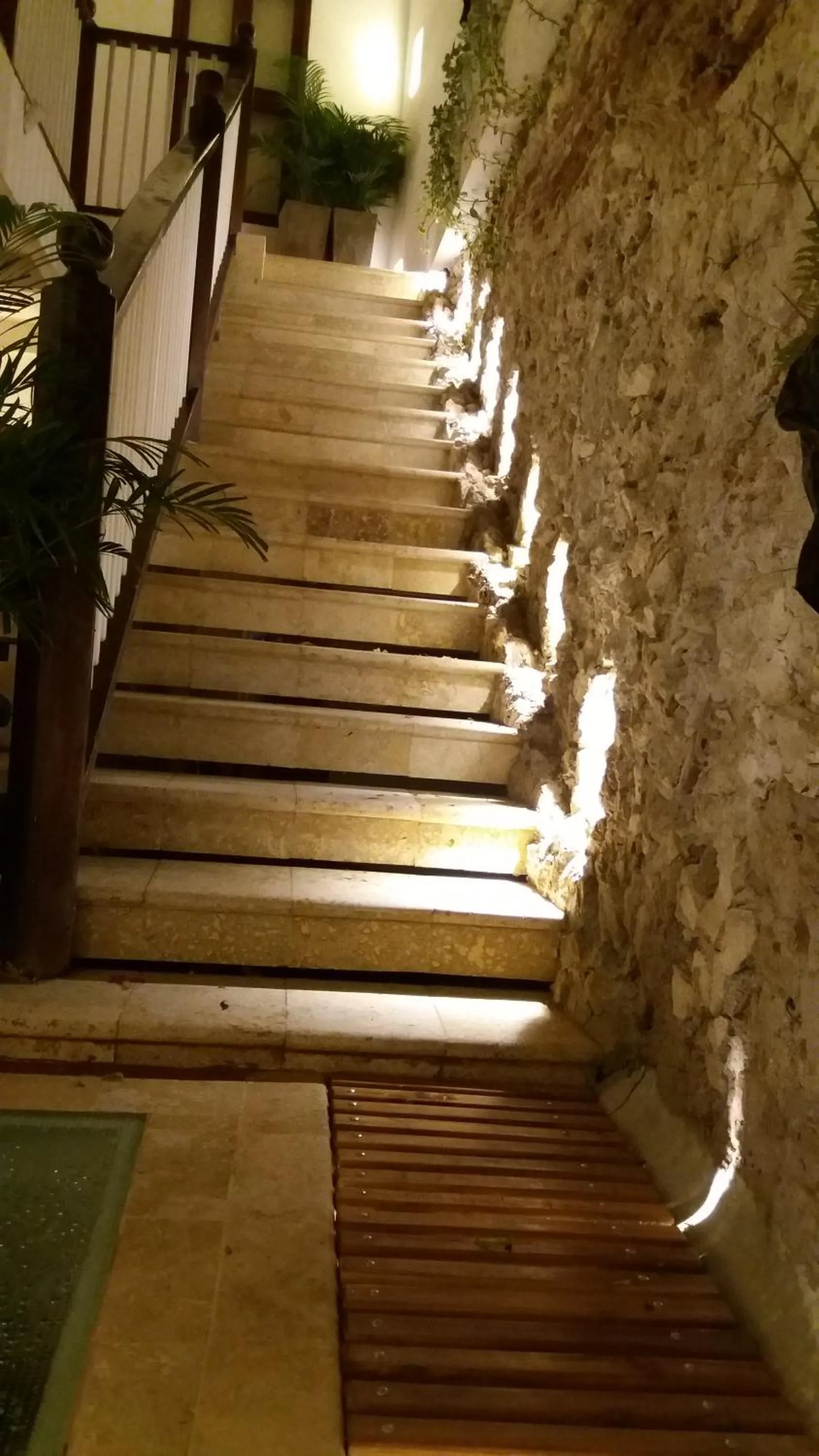 Area and facilities in Casa Ebano 967