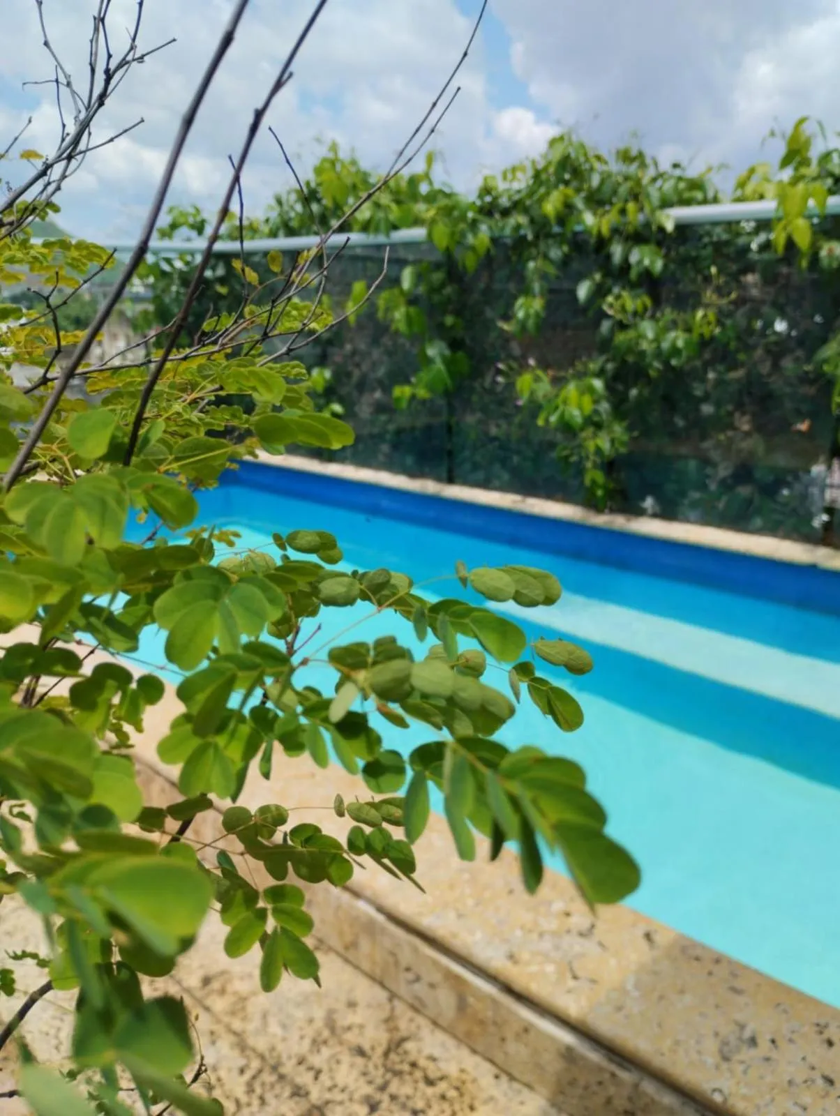 Day in Casa Ebano 967