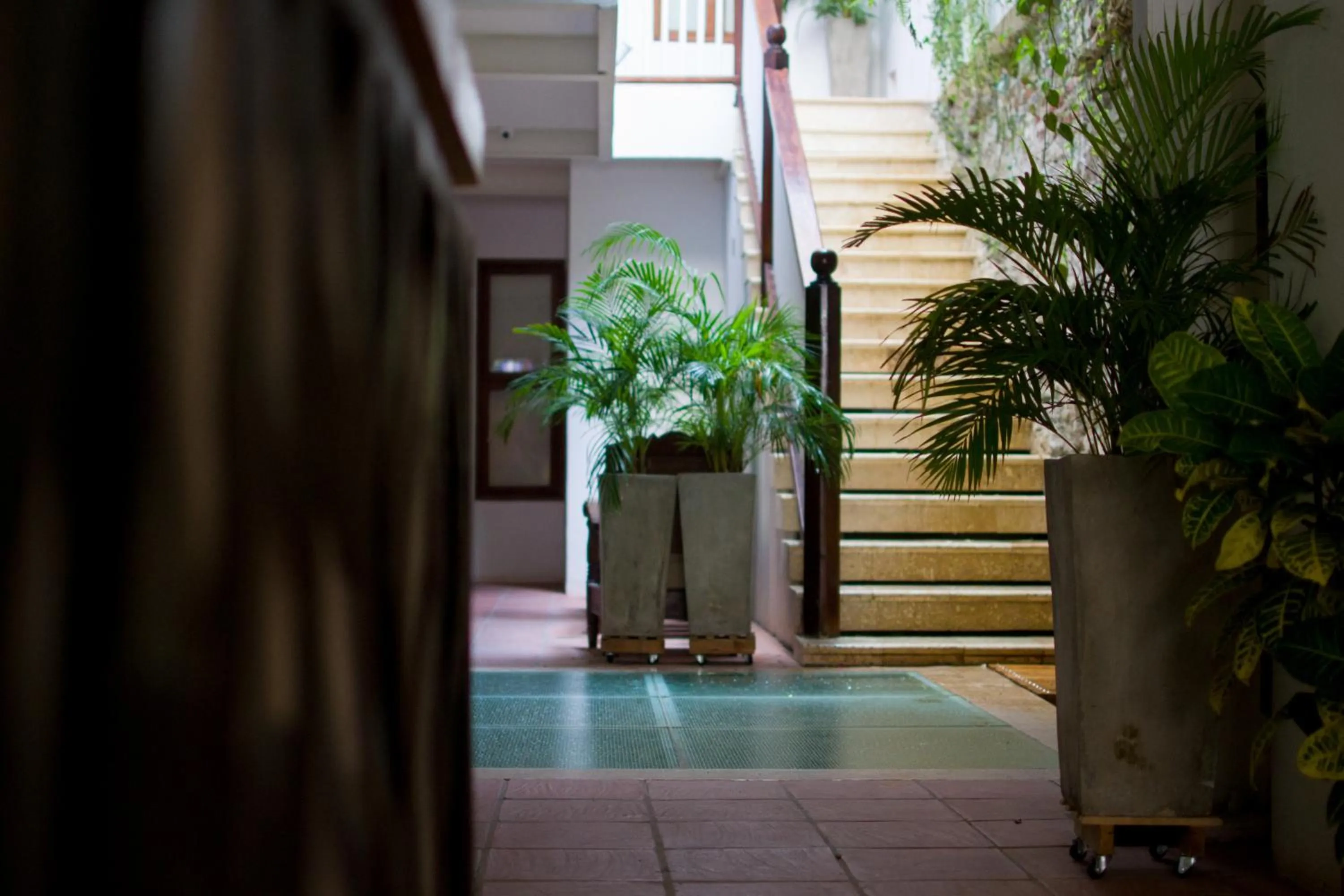 Facade/entrance in Casa Ebano 967