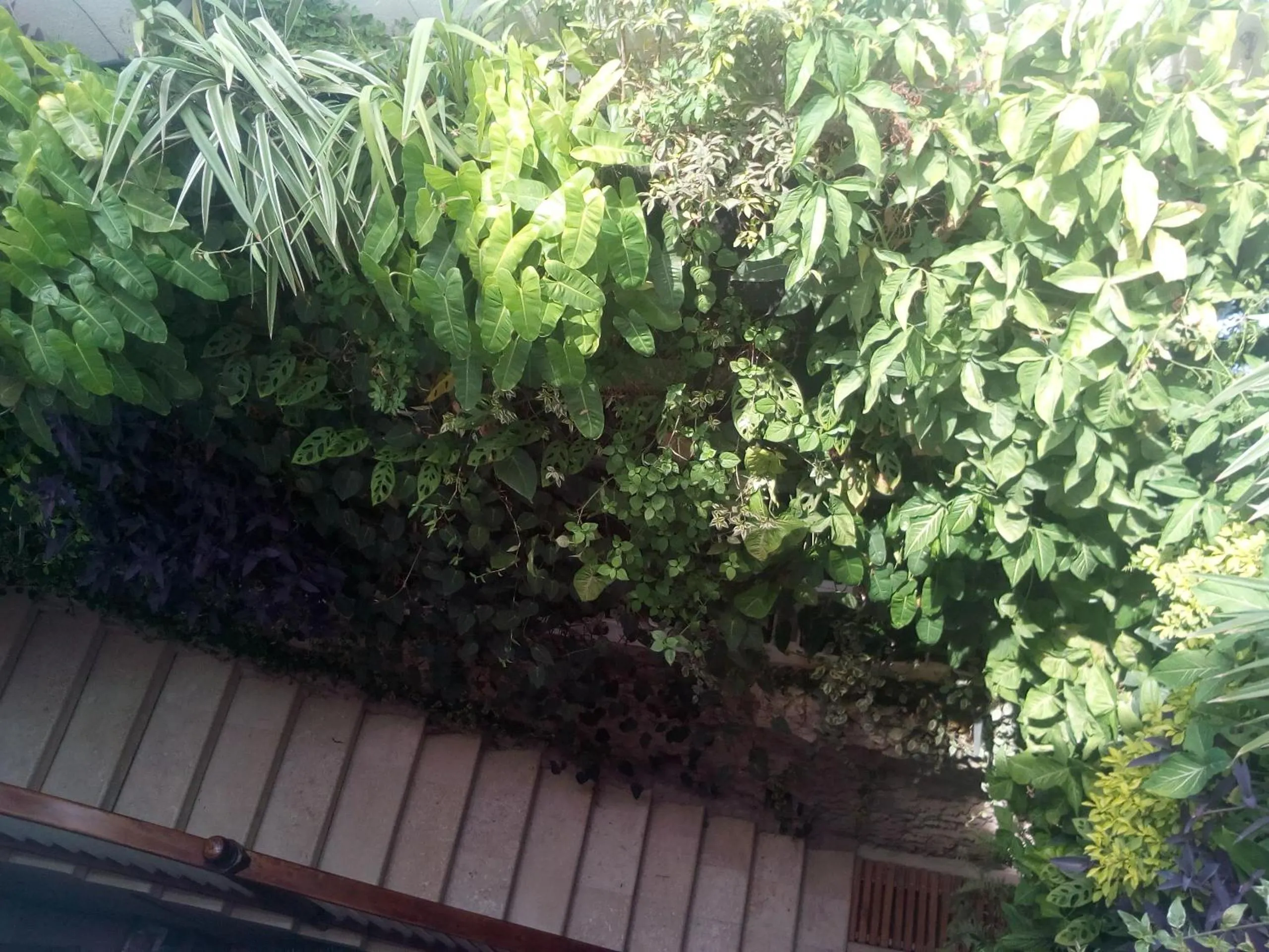 Bird's eye view in Casa Ebano 967