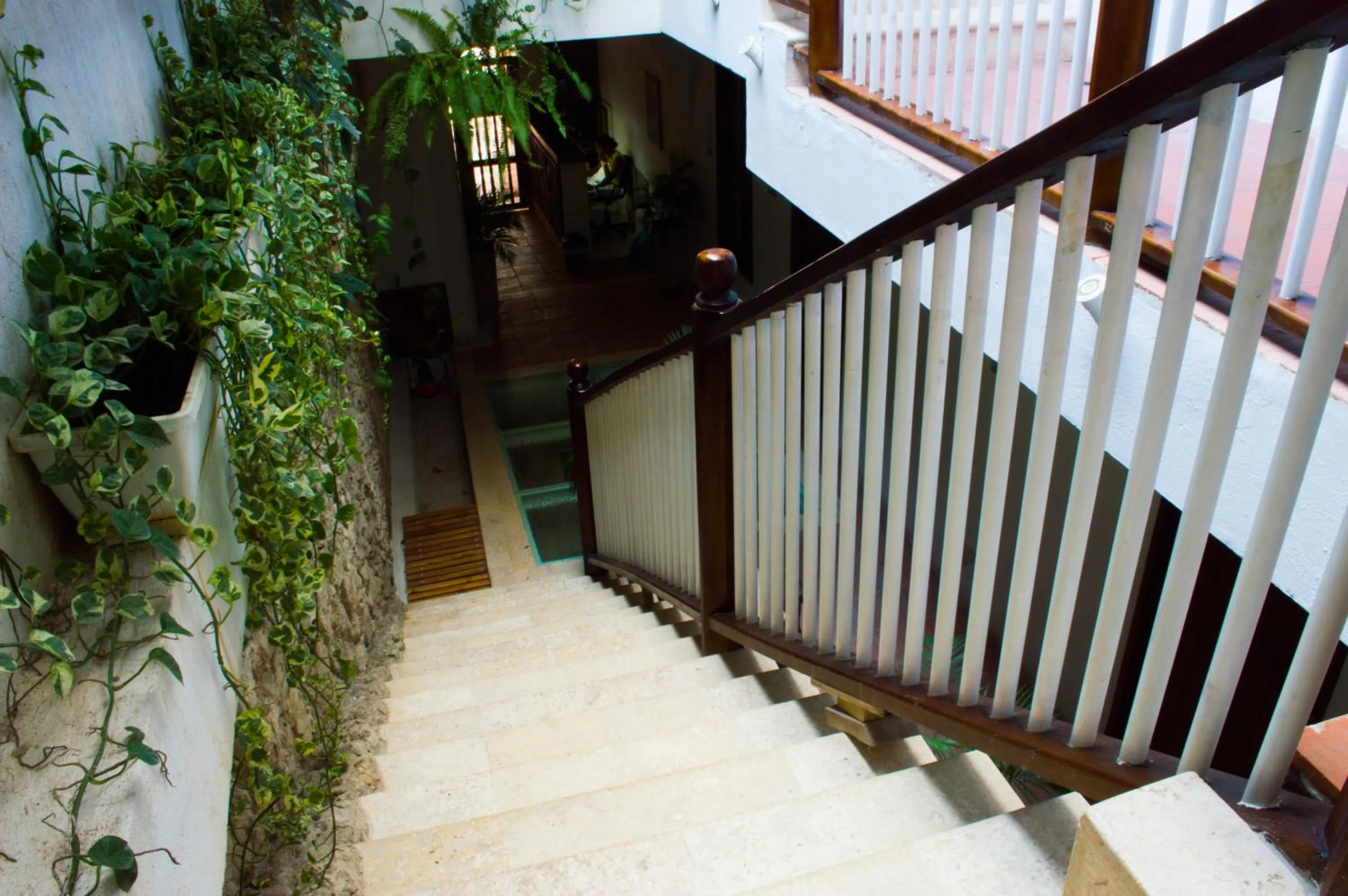 Facade/entrance in Casa Ebano 967