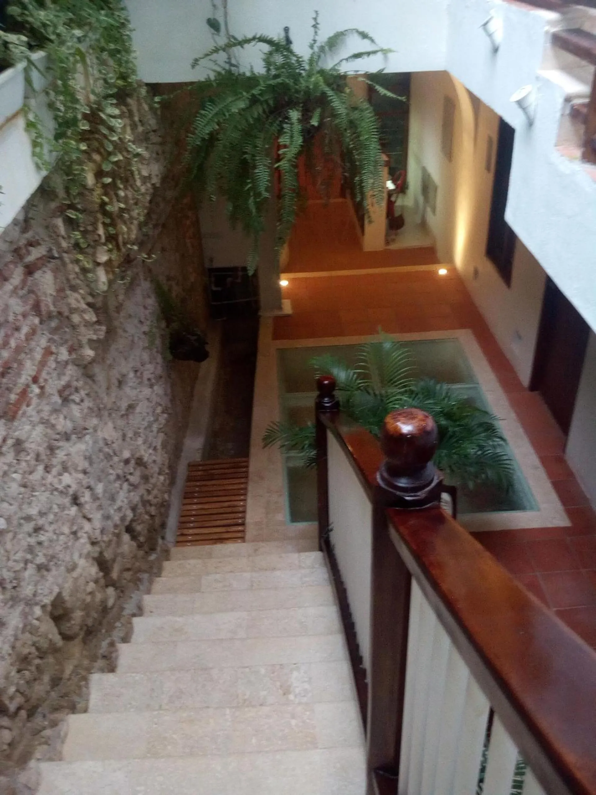 Area and facilities in Casa Ebano 967