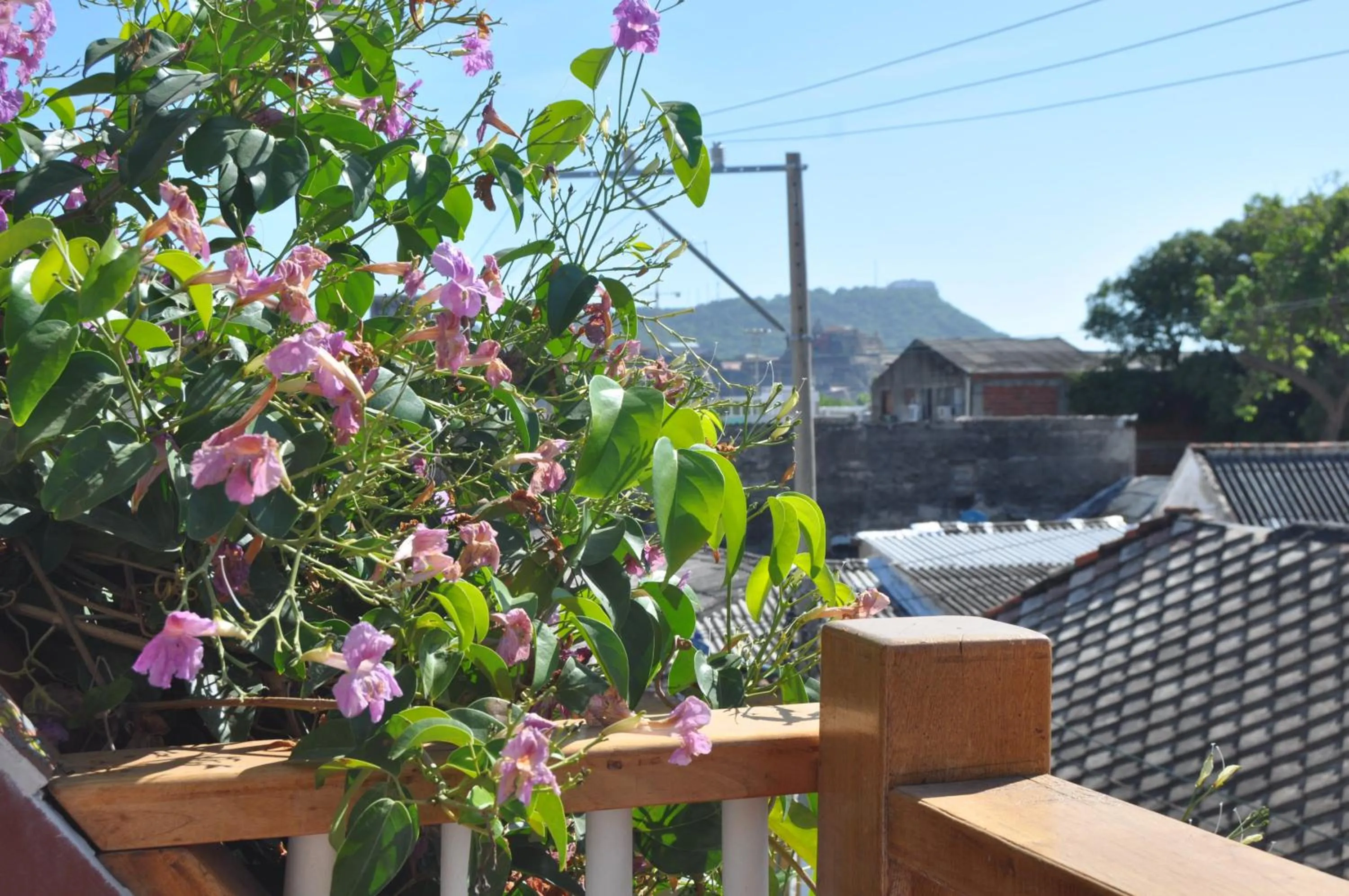 Photo of the whole room in Casa Ebano 967