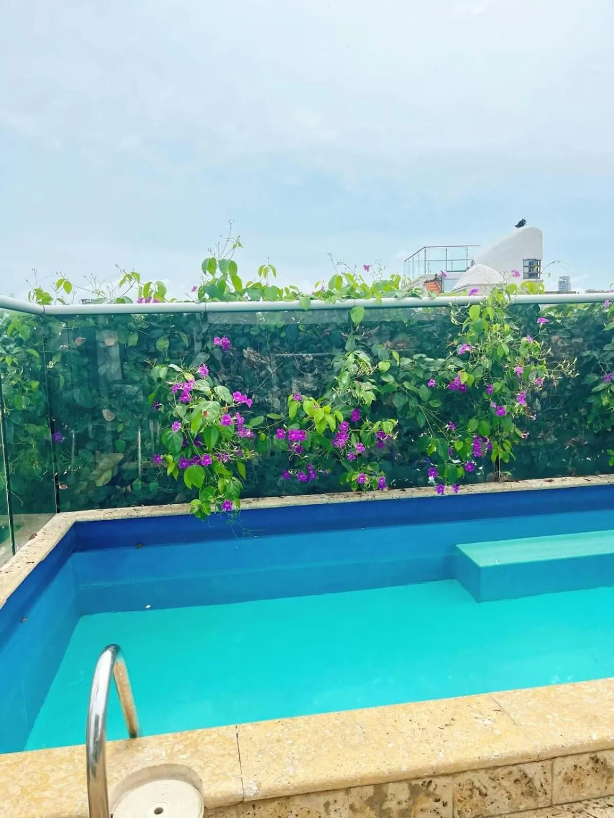 Swimming pool in Casa Ebano 967