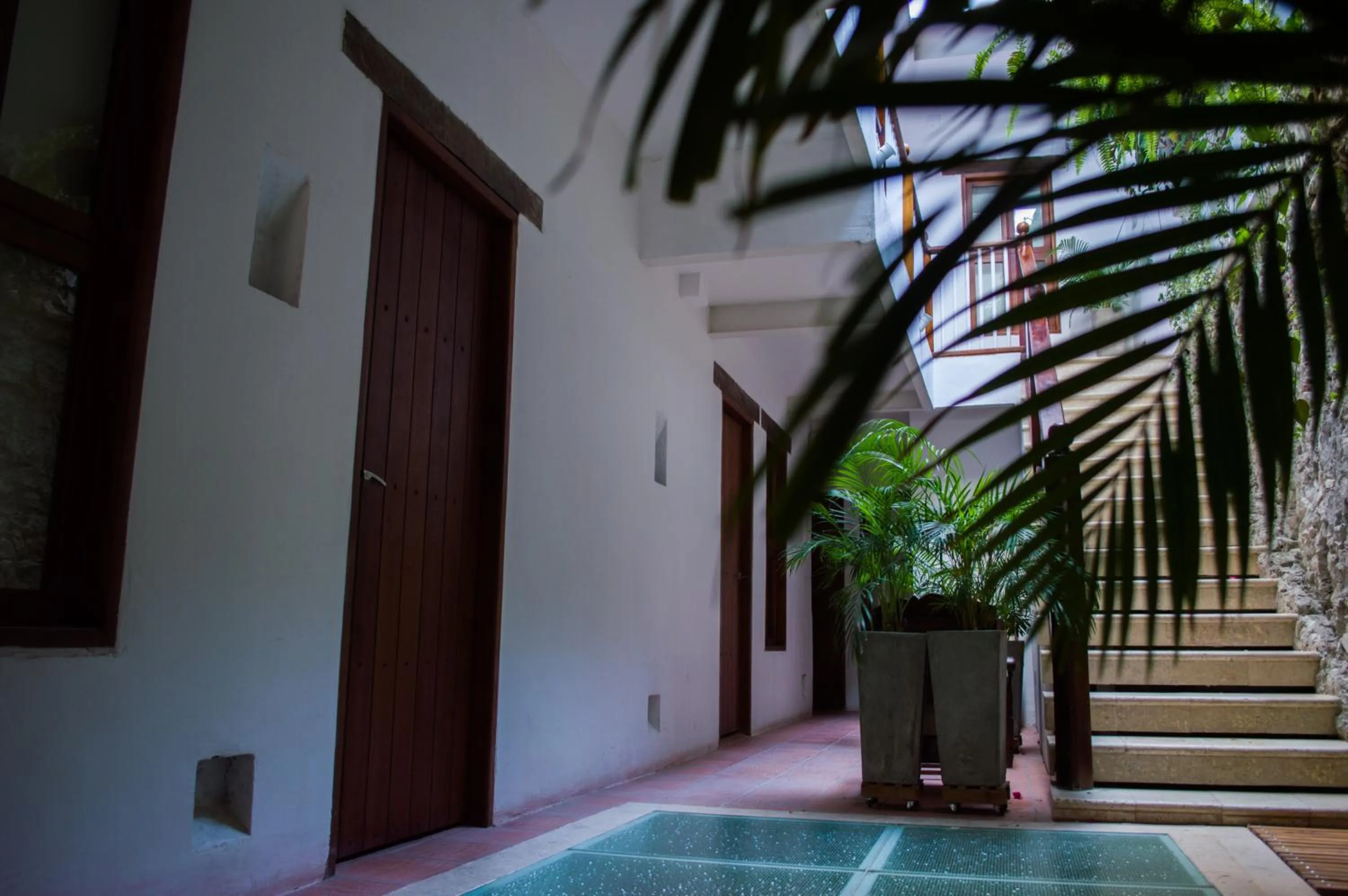 Property building in Casa Ebano 967