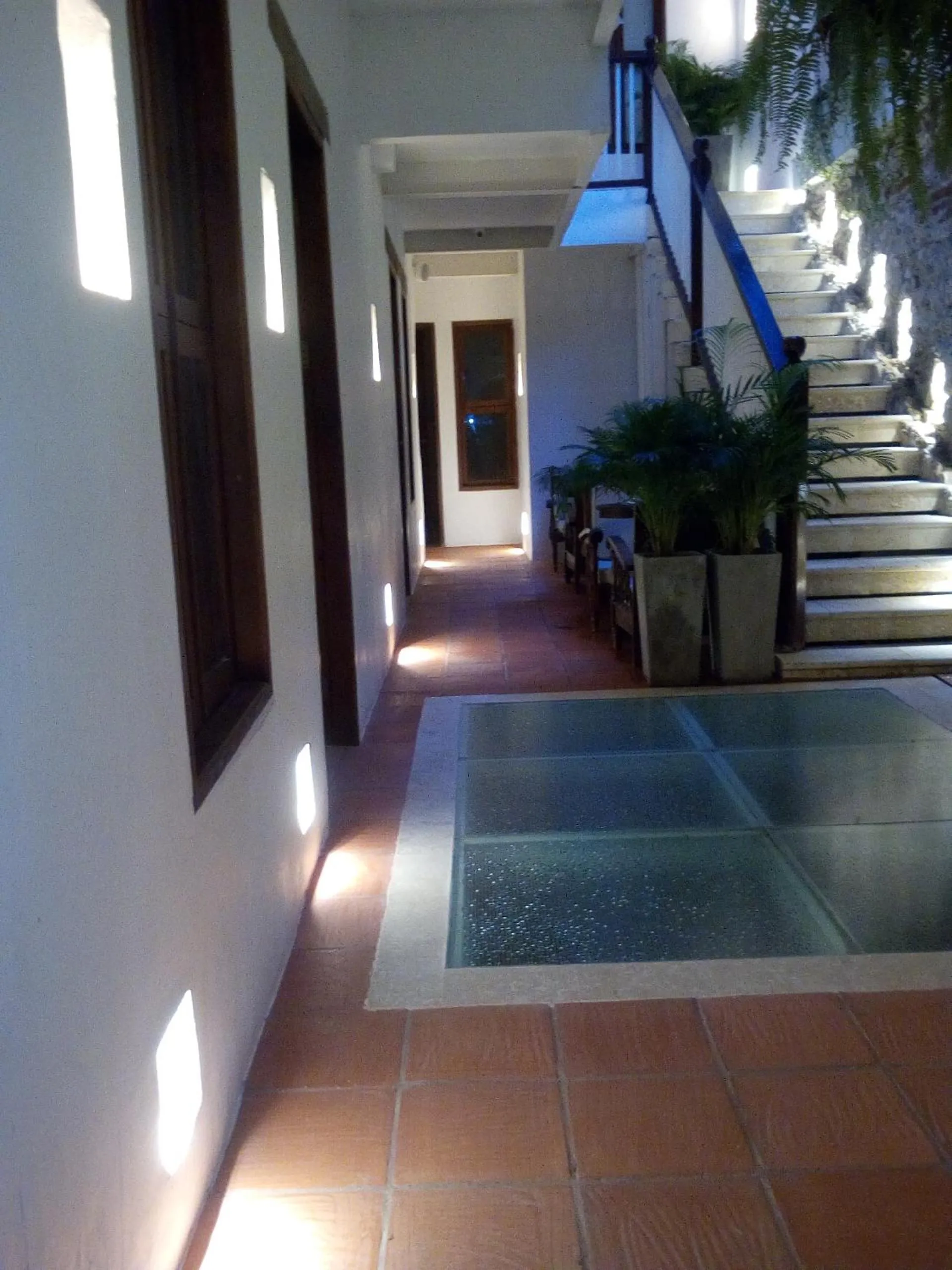 Area and facilities in Casa Ebano 967