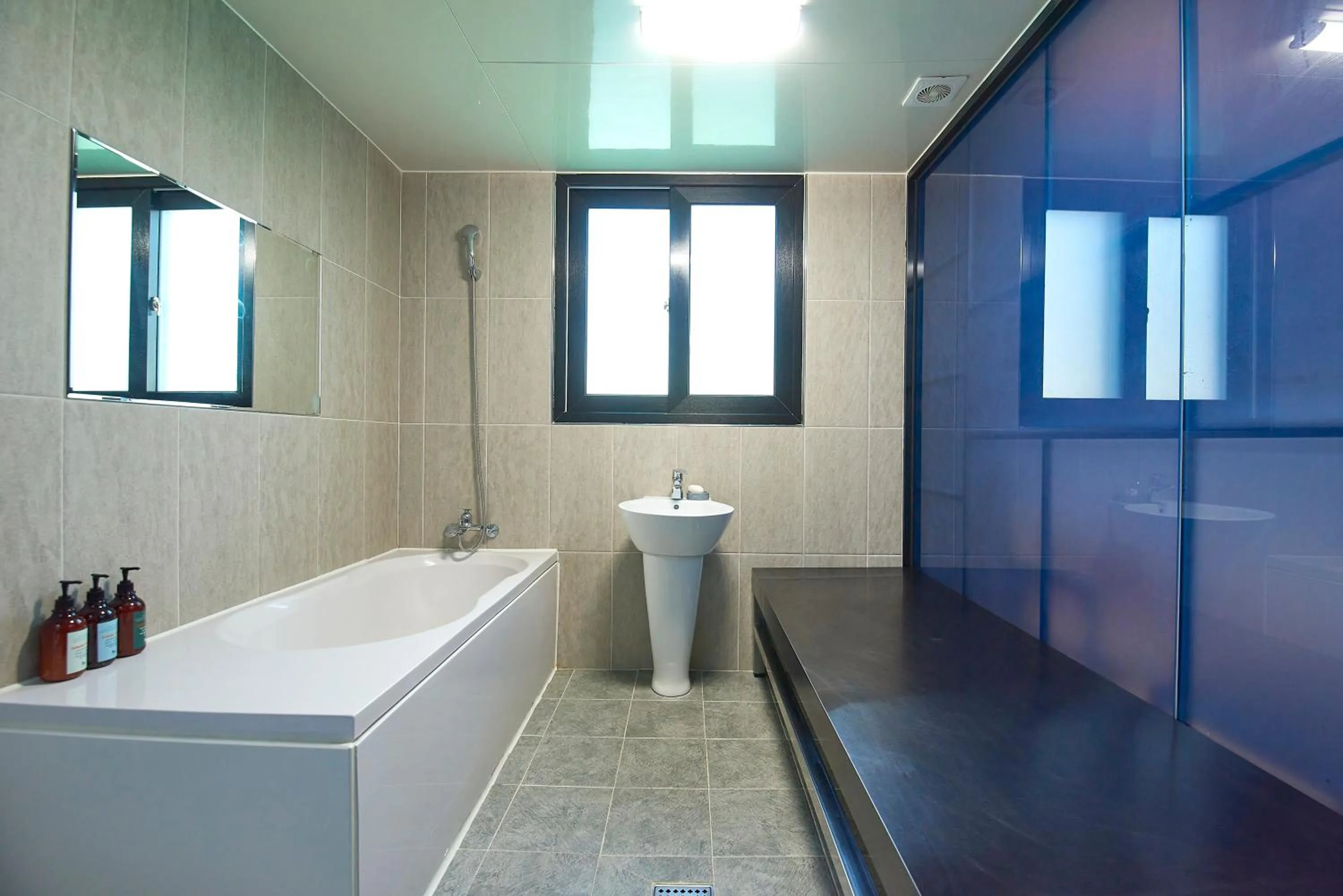 Hotel Danube Seomyeon