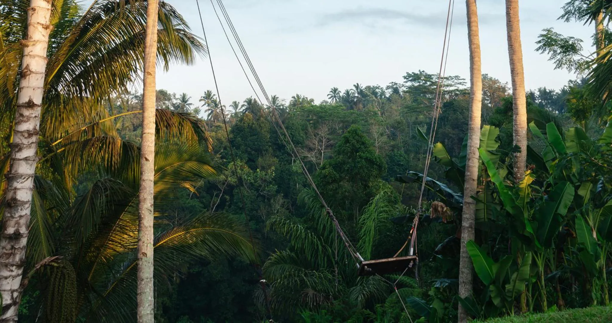 Activities in Bobocabin Ubud, Bali