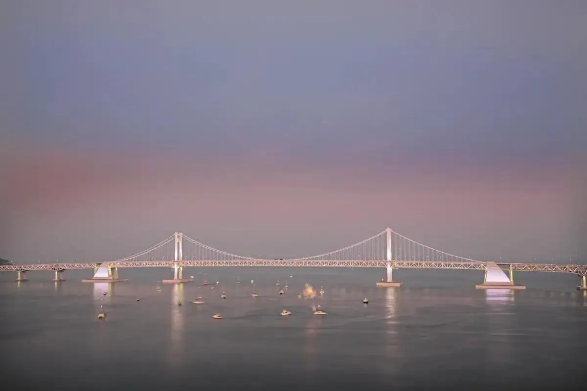 SoTA Collection The Terrace