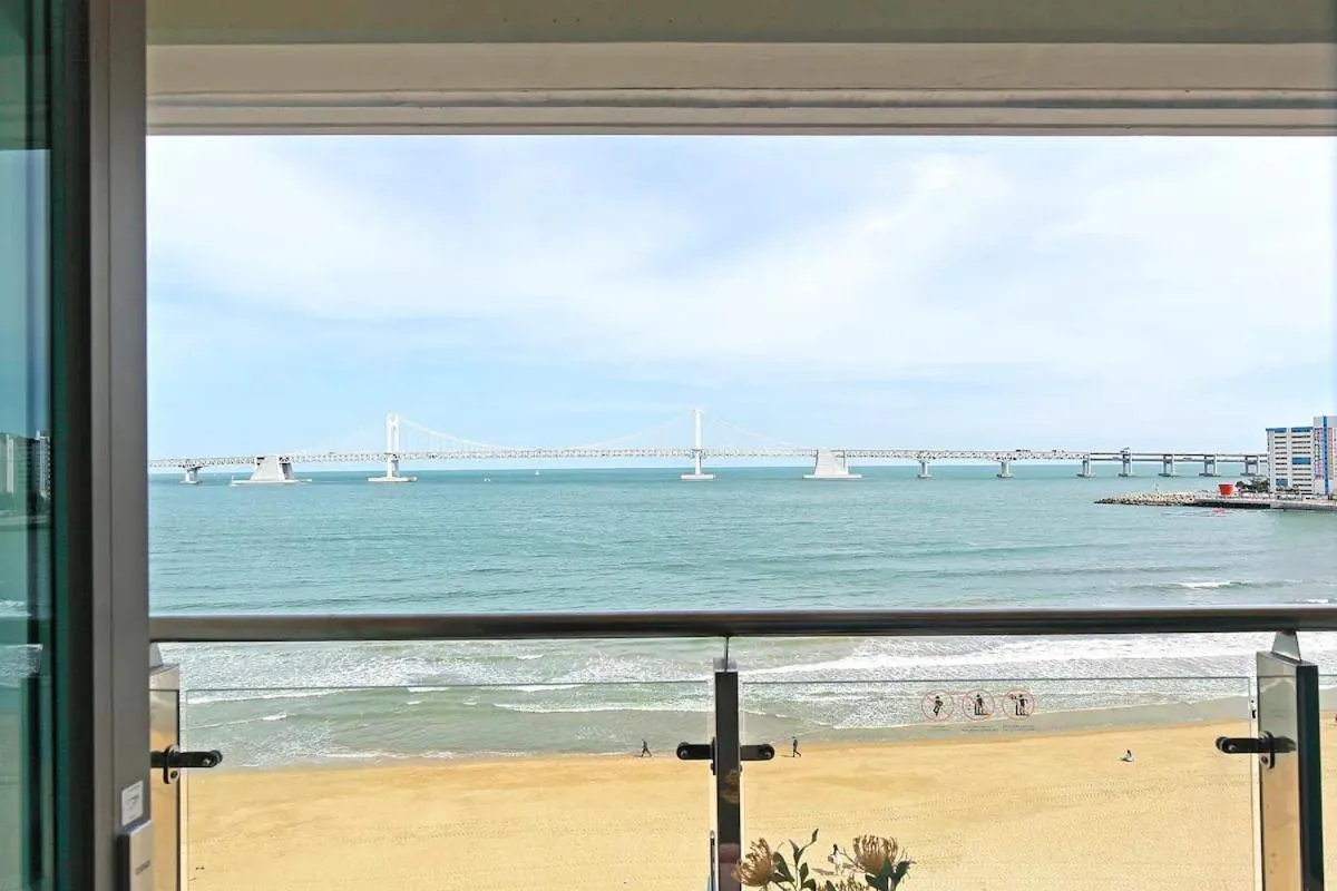 SoTA Collection The Terrace