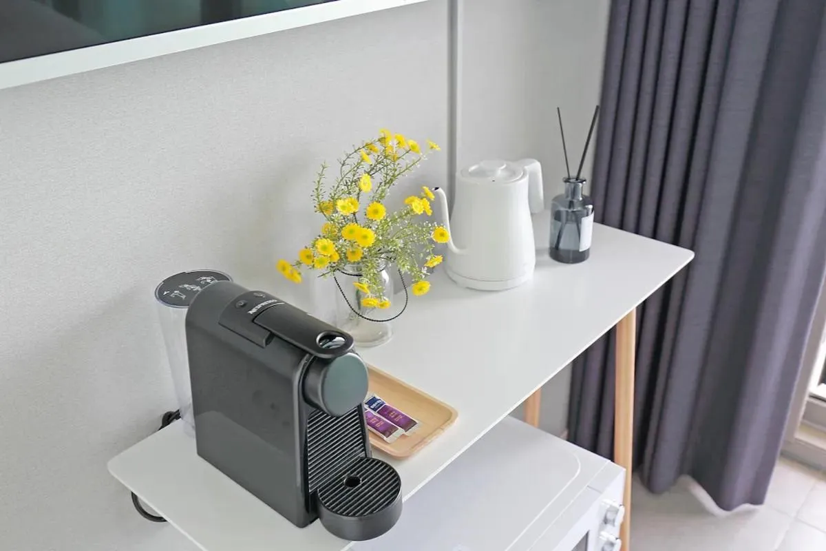 SoTA Collection The Terrace