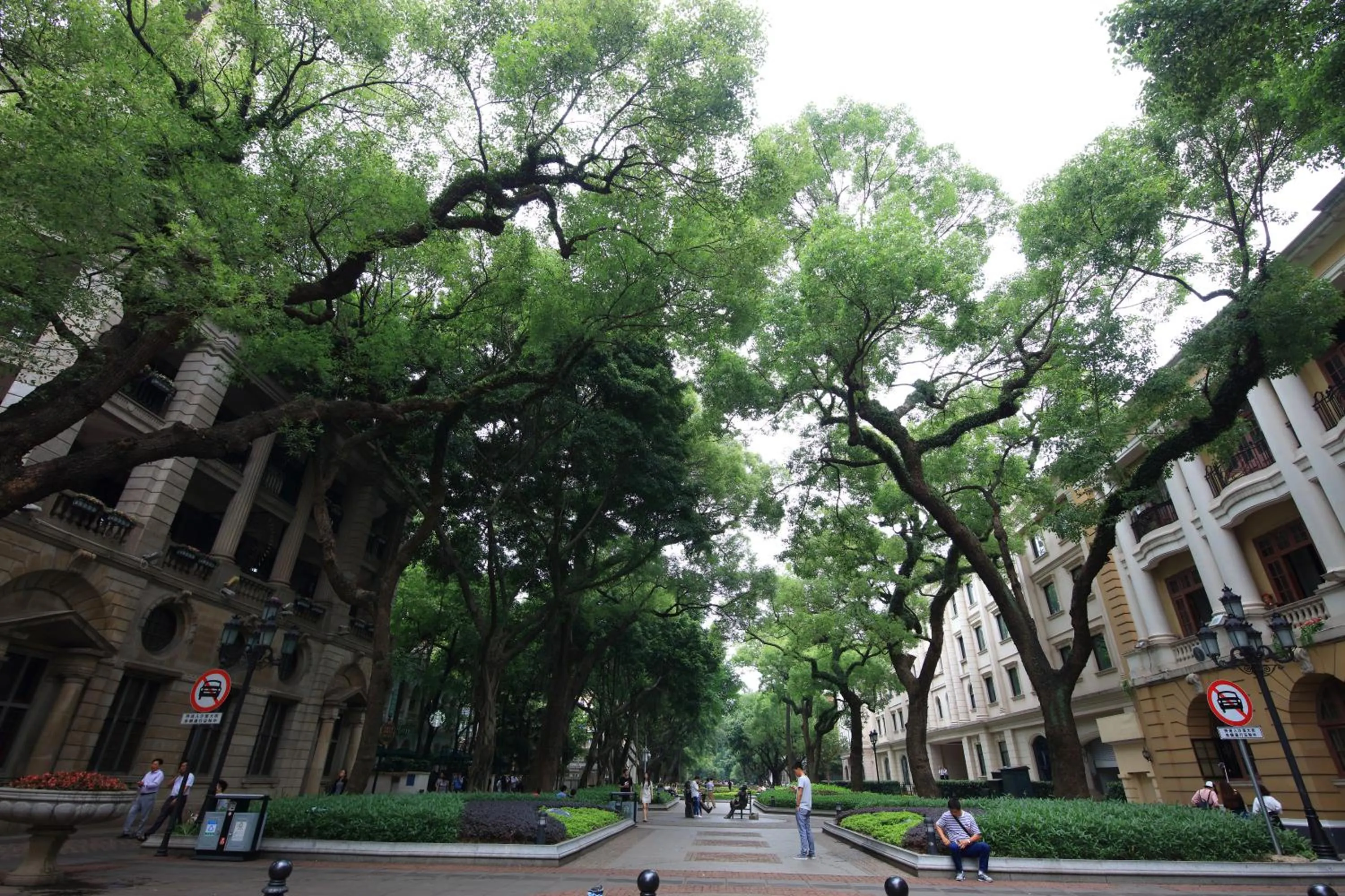Natural landscape in Nanfang Dasha Hotel