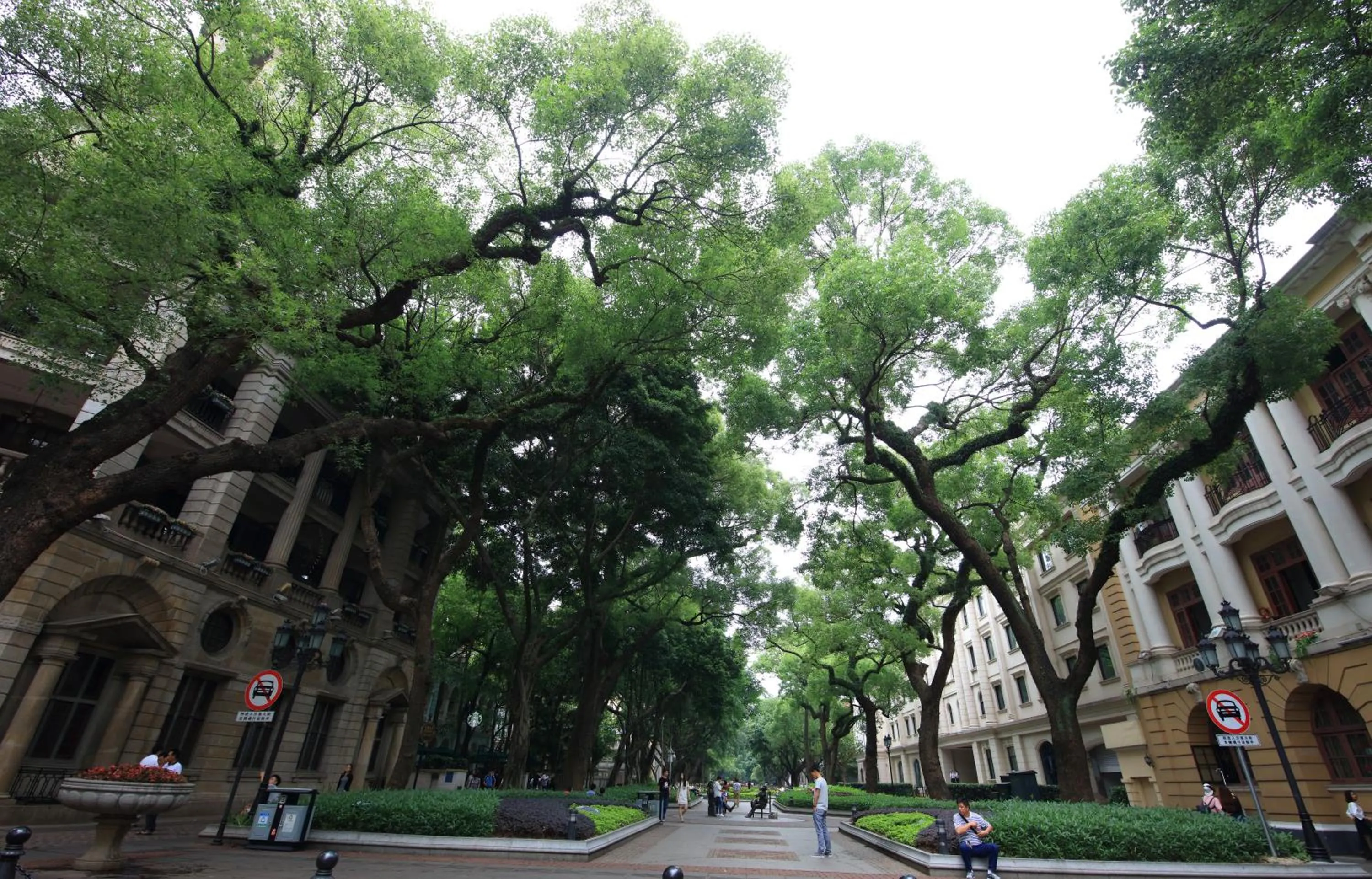 Natural landscape in Nanfang Dasha Hotel