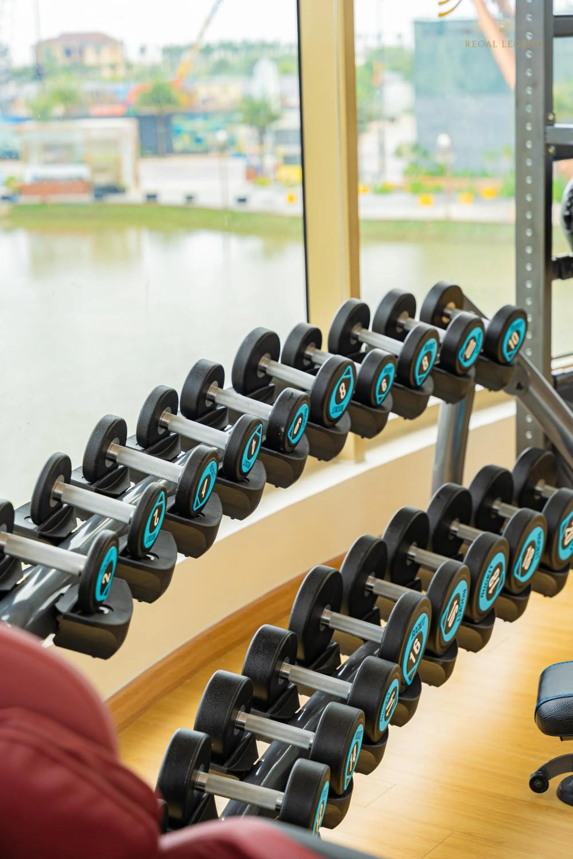 Fitness centre/facilities in Regal Collection House