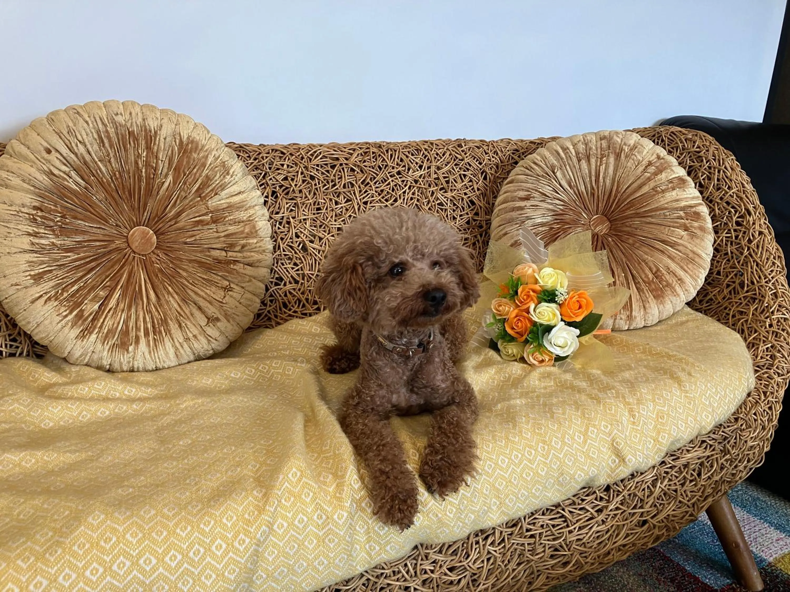 Residence Ferie Nara station