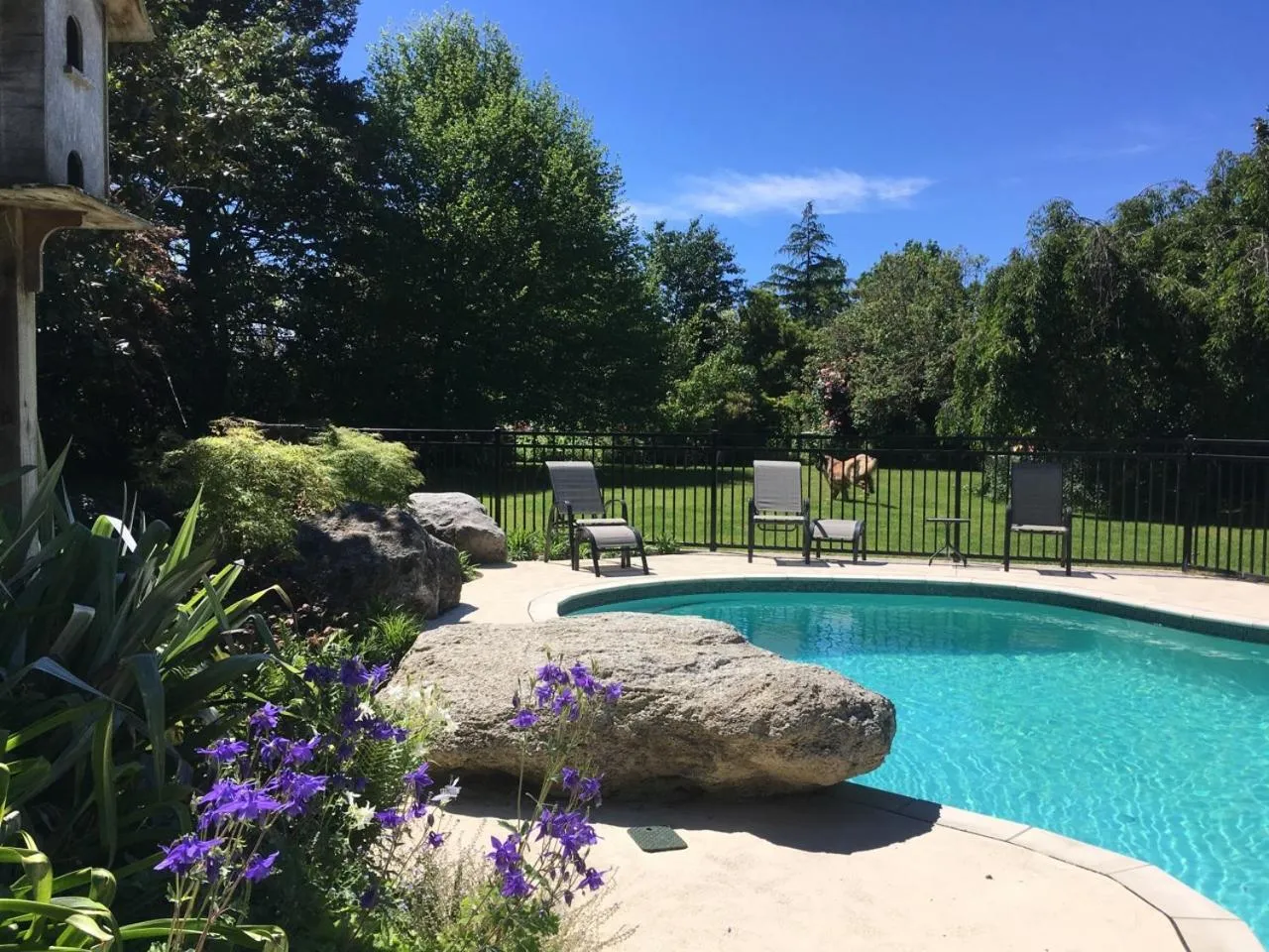 Swimming pool in Bluebell Lodge and Cottage