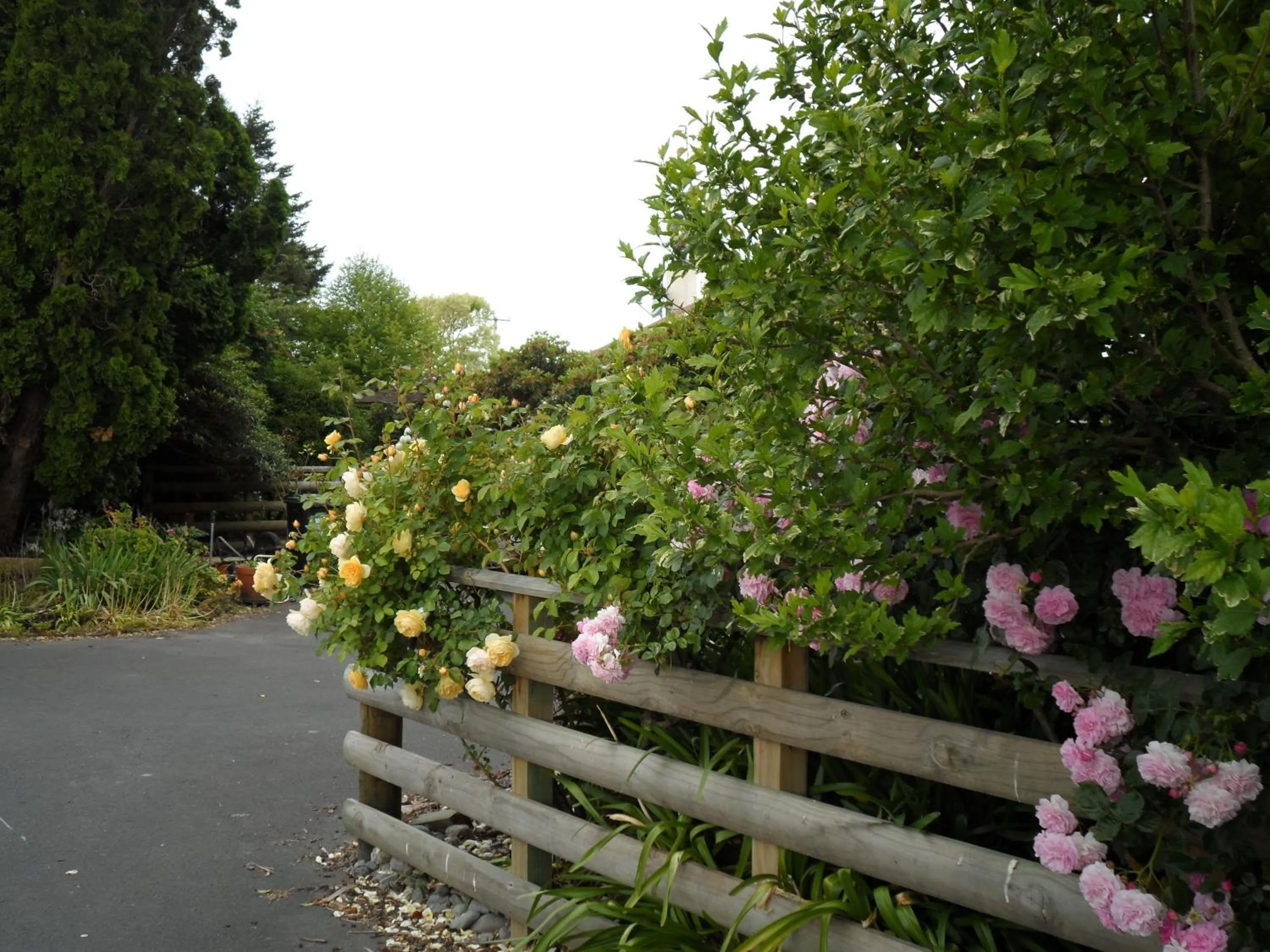 Garden in Bluebell Lodge and Cottage