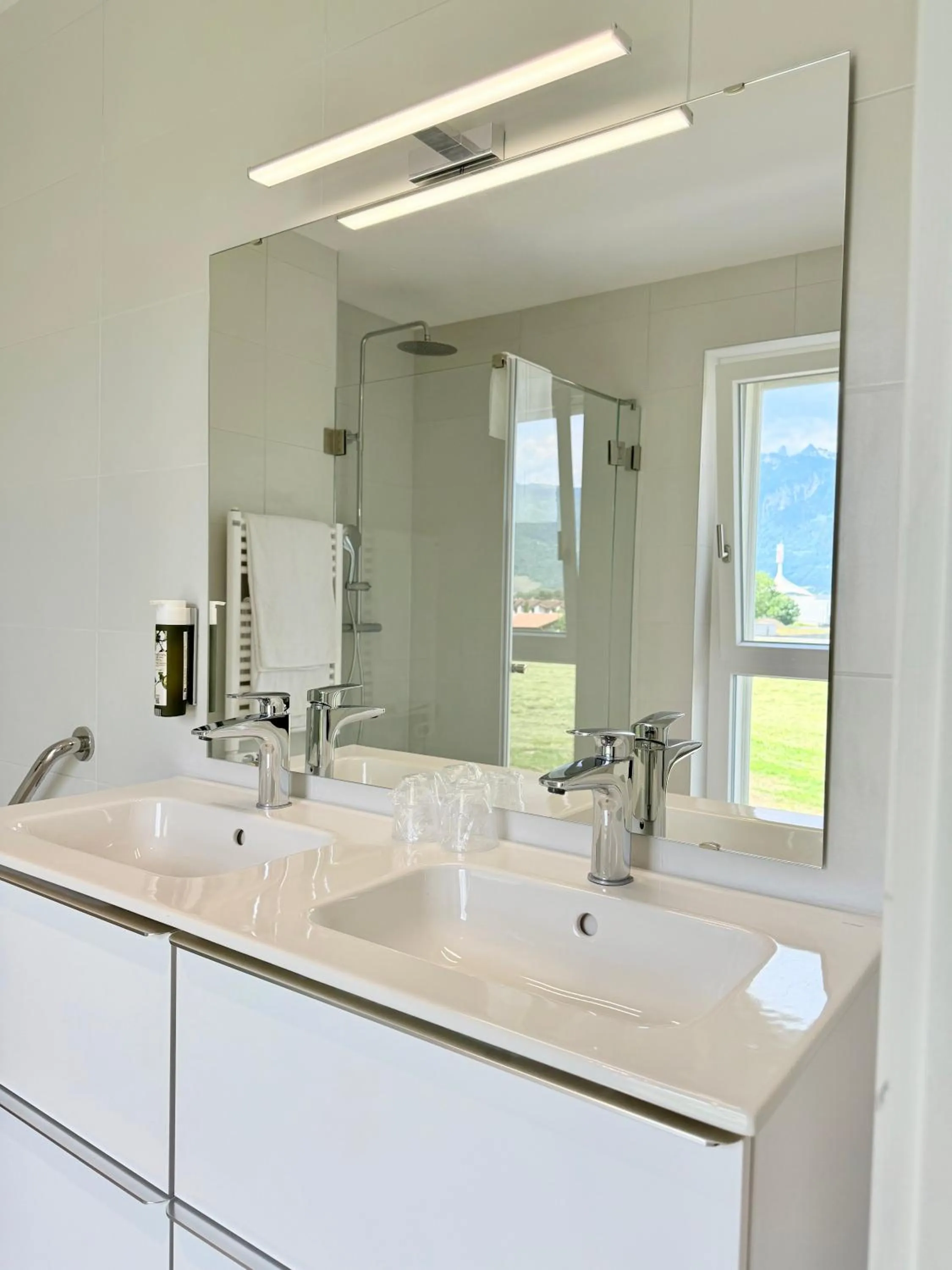 Shower in Alp Art Hotel Monthey