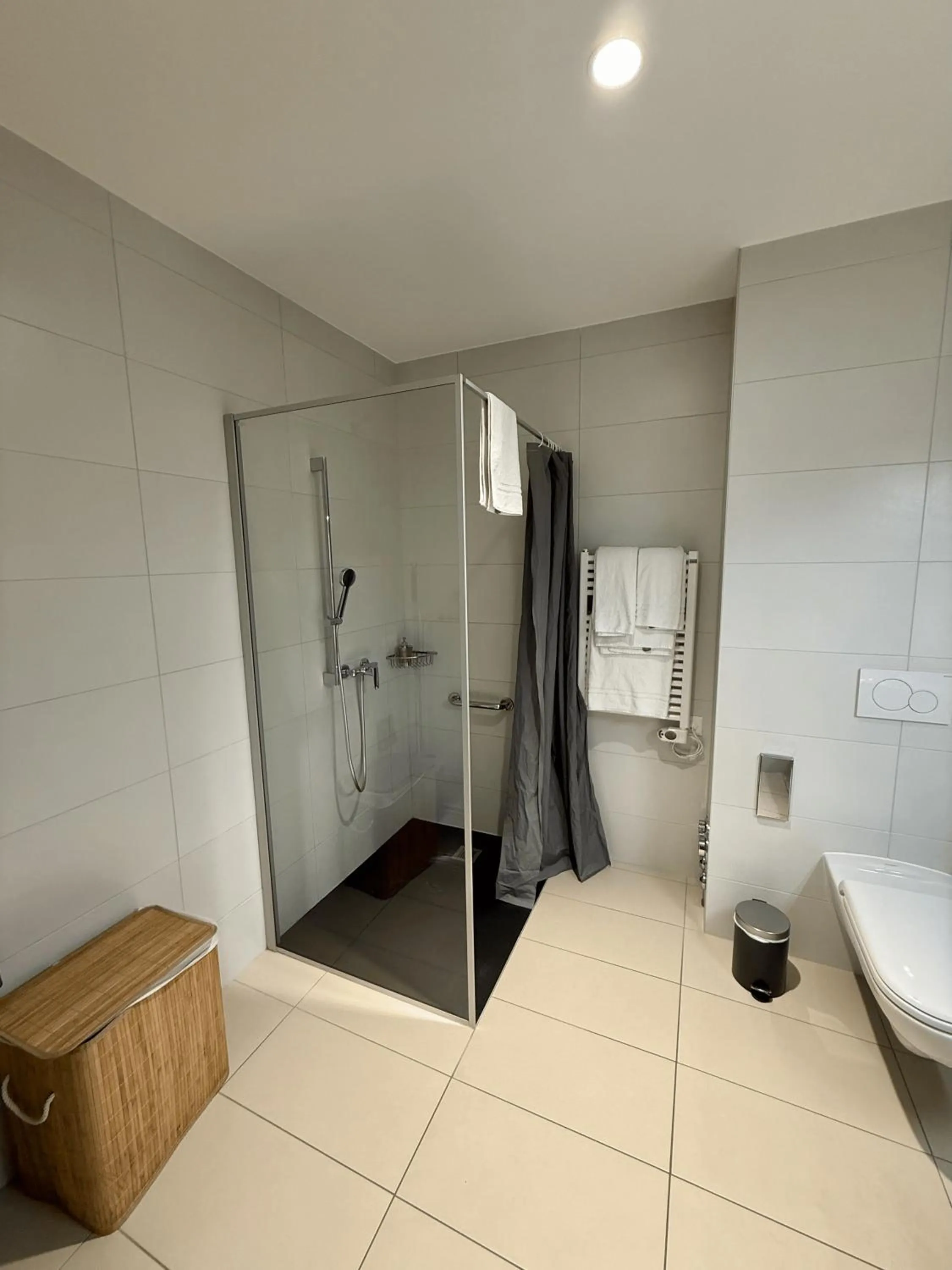 Shower in Alp Art Hotel Monthey