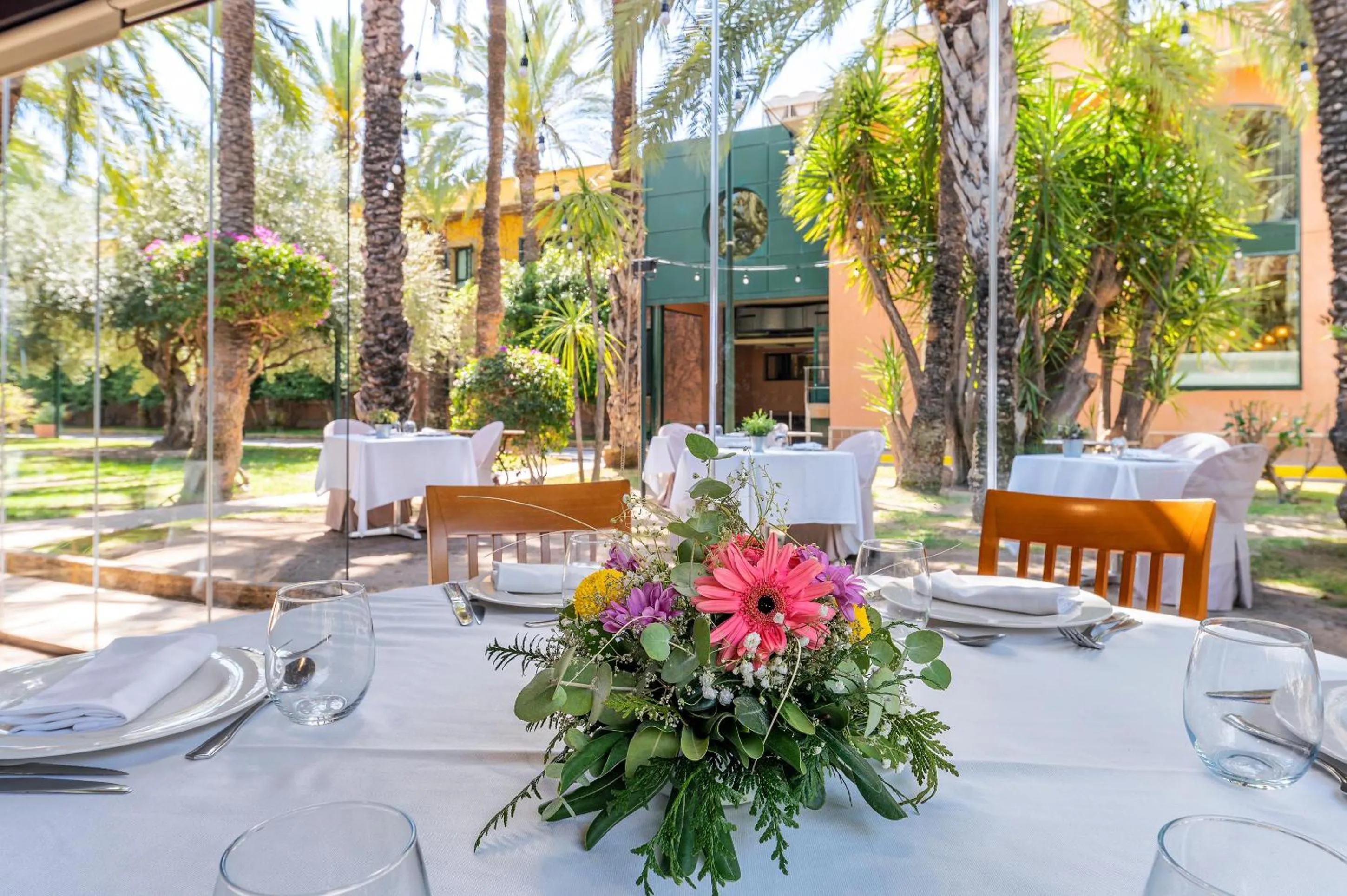 Nightclub / DJ in Port Jardín Milenio