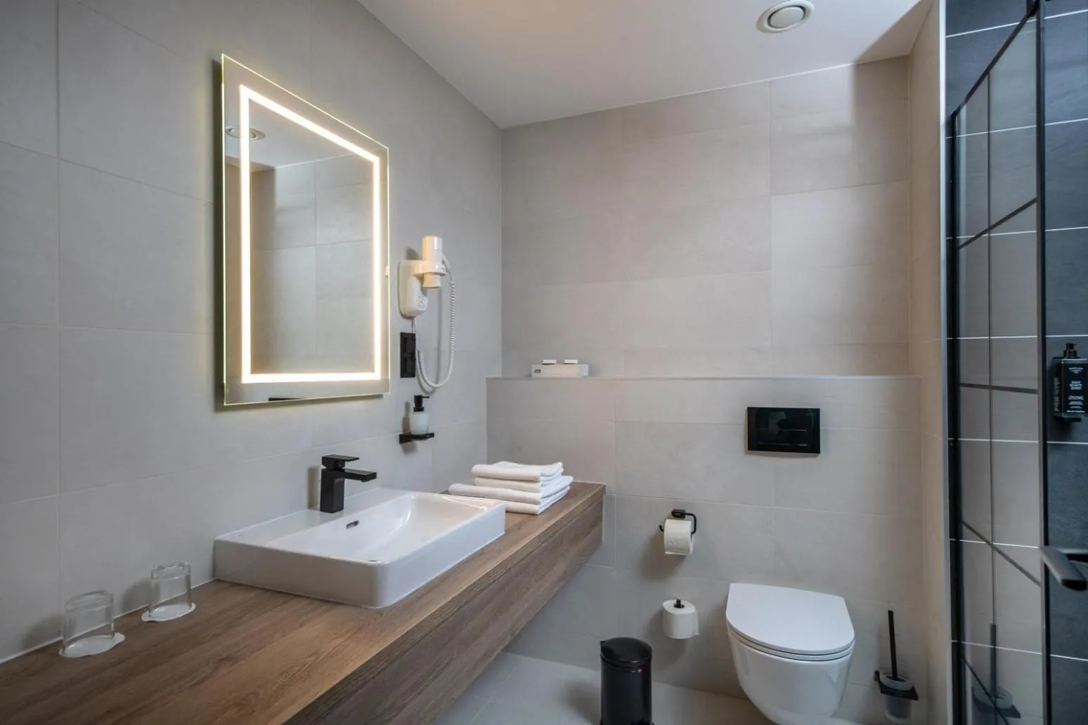 Toilet in Flow Hotel & Conference