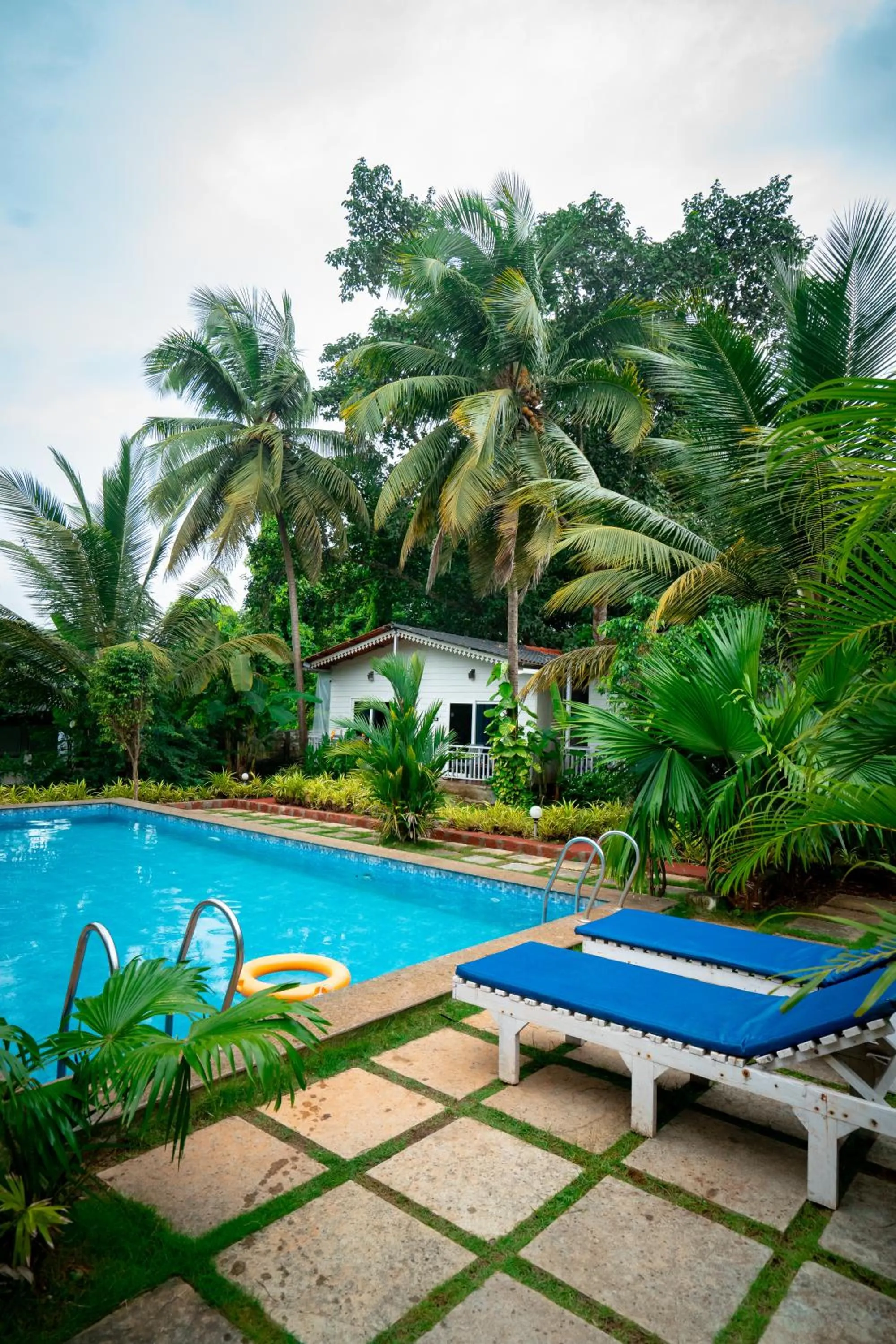 White Truffle Resort, Arambol