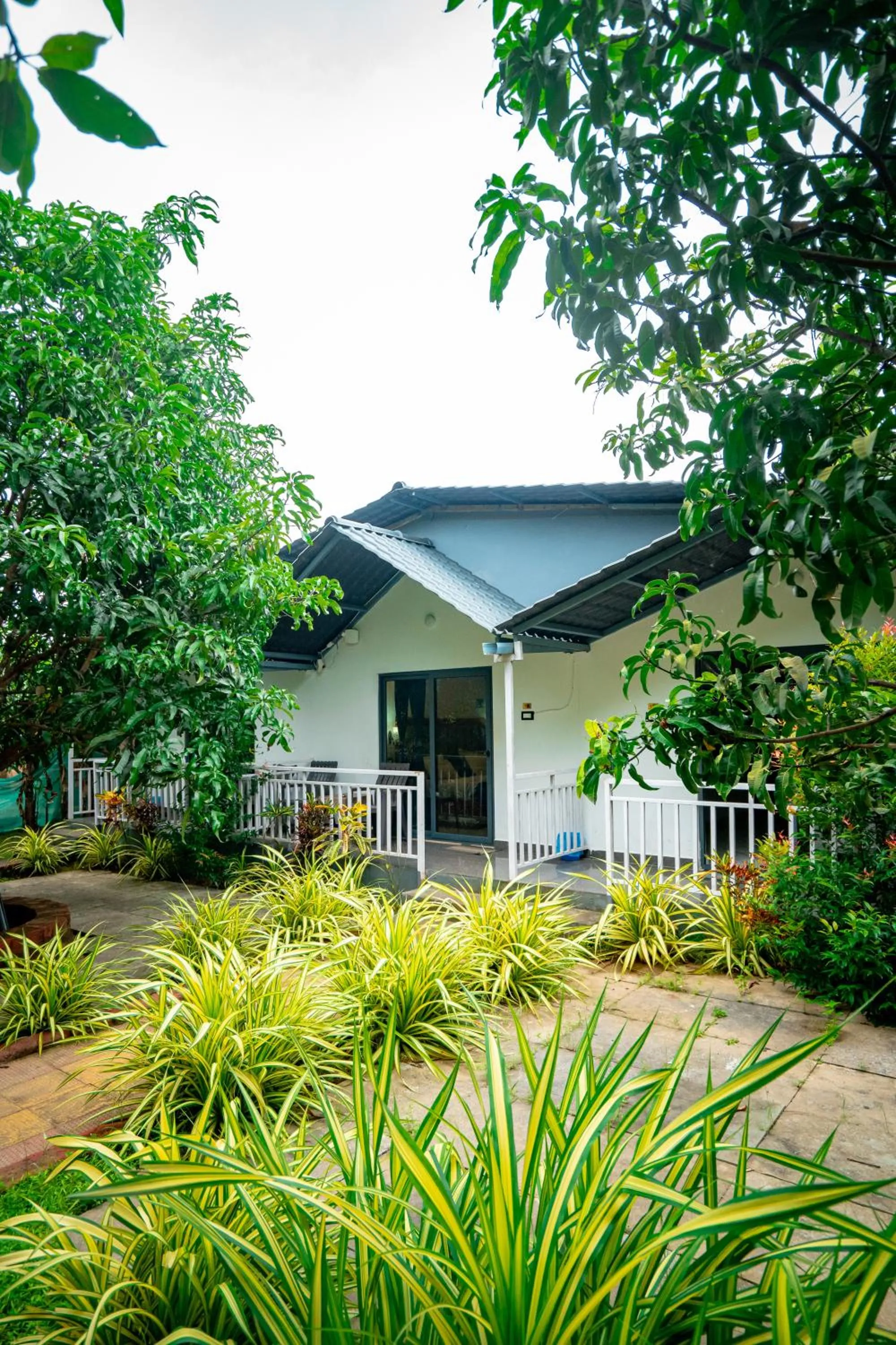 White Truffle Resort, Arambol