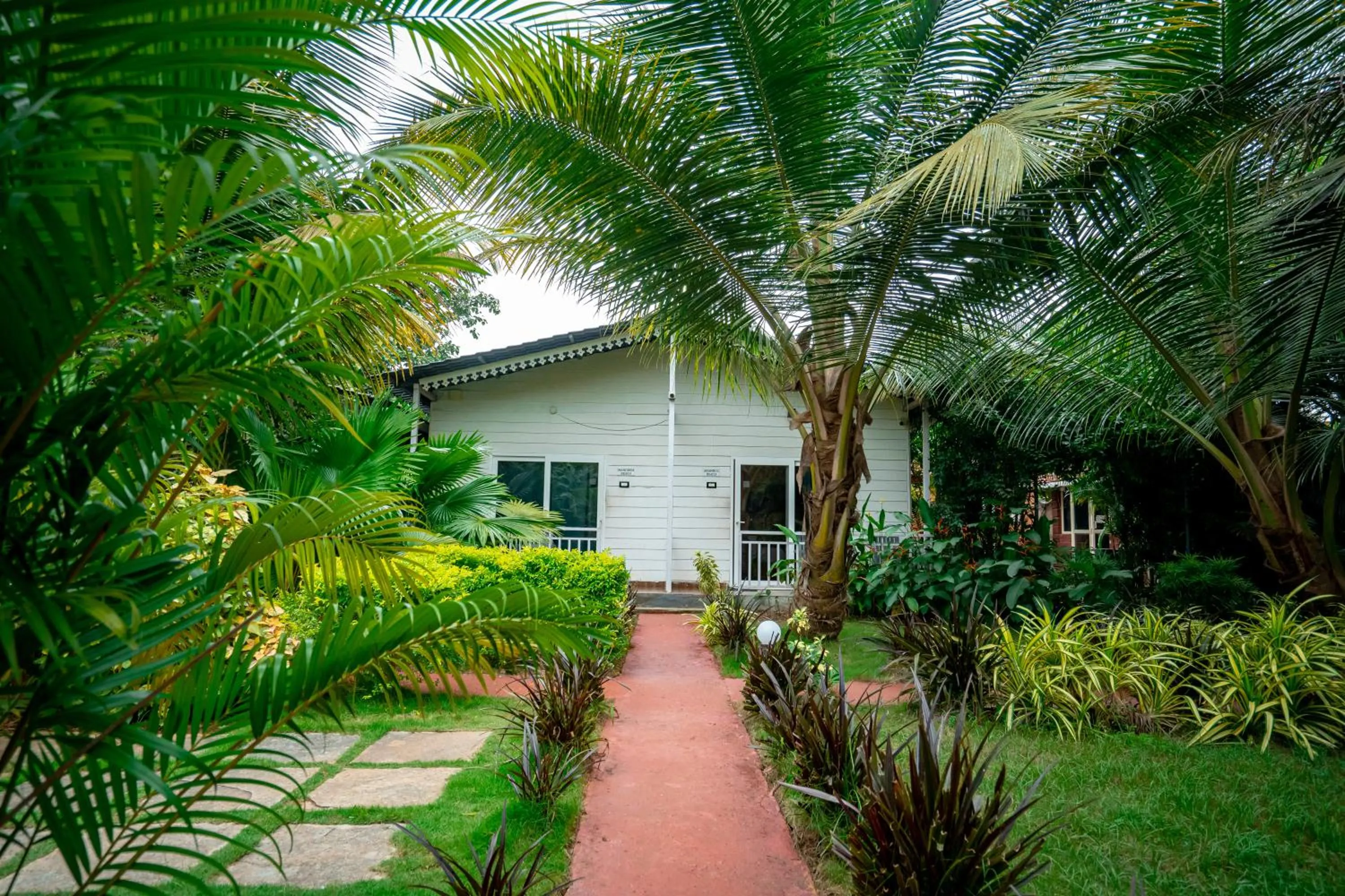 White Truffle Resort, Arambol