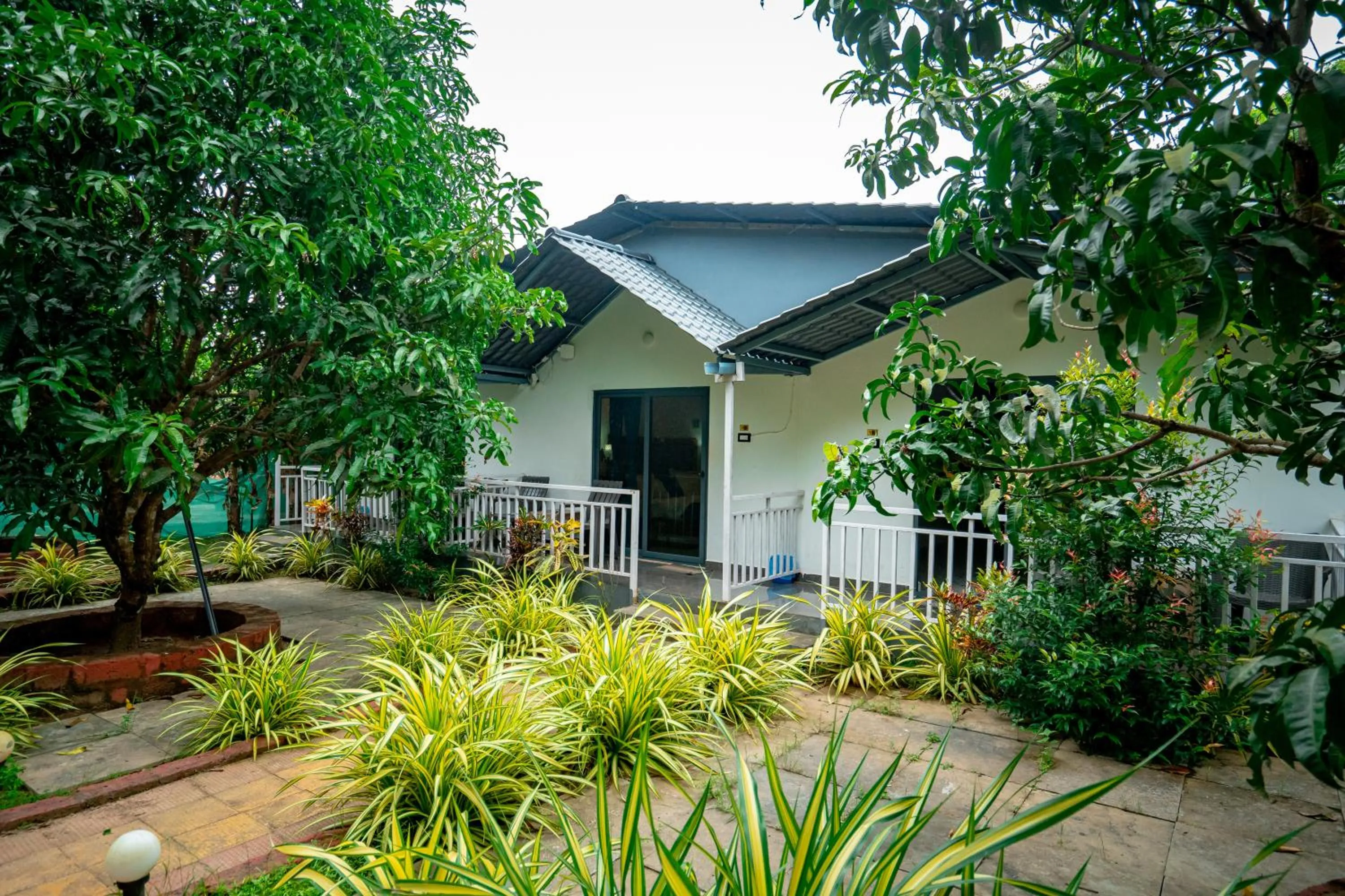 White Truffle Resort, Arambol