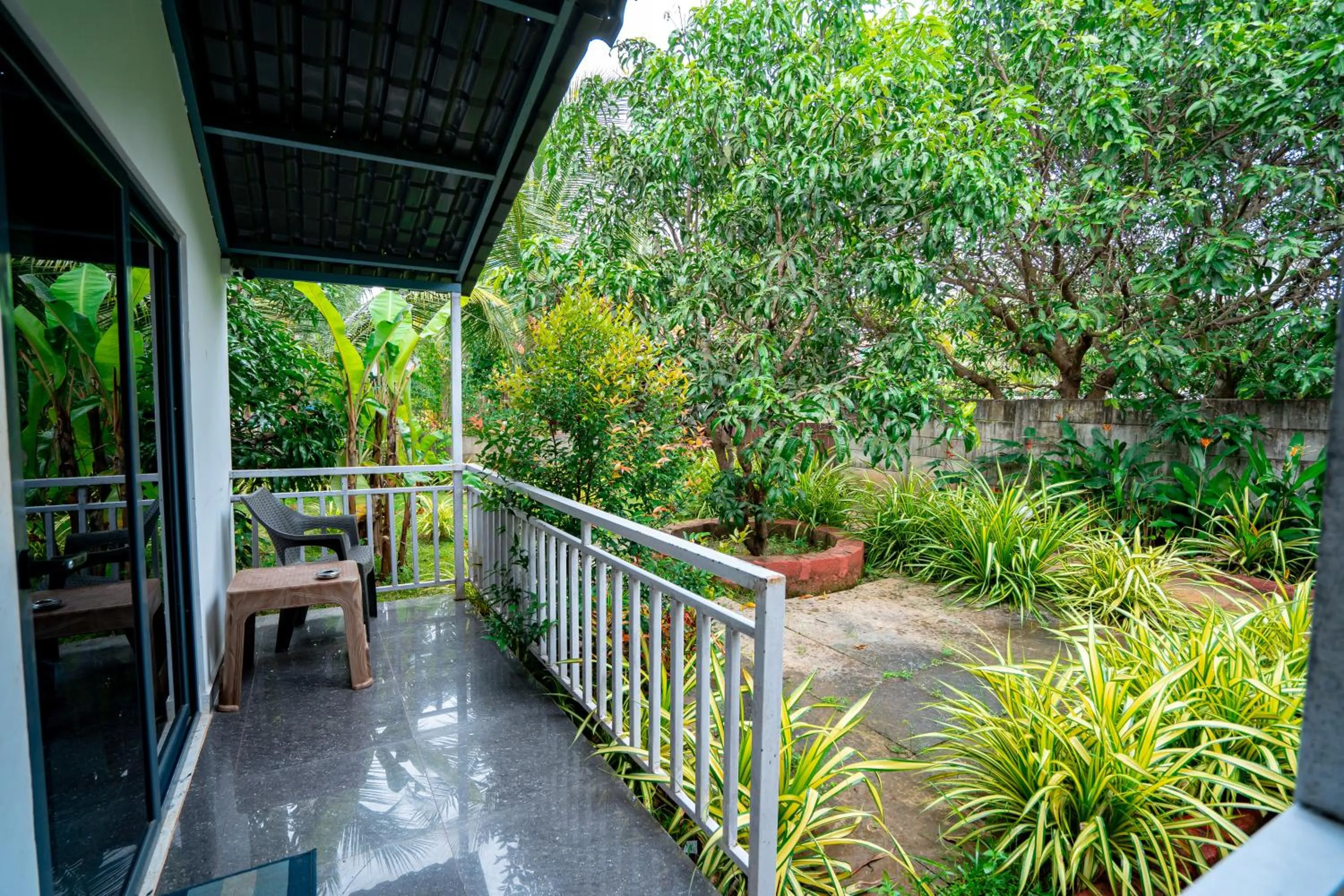 White Truffle Resort, Arambol