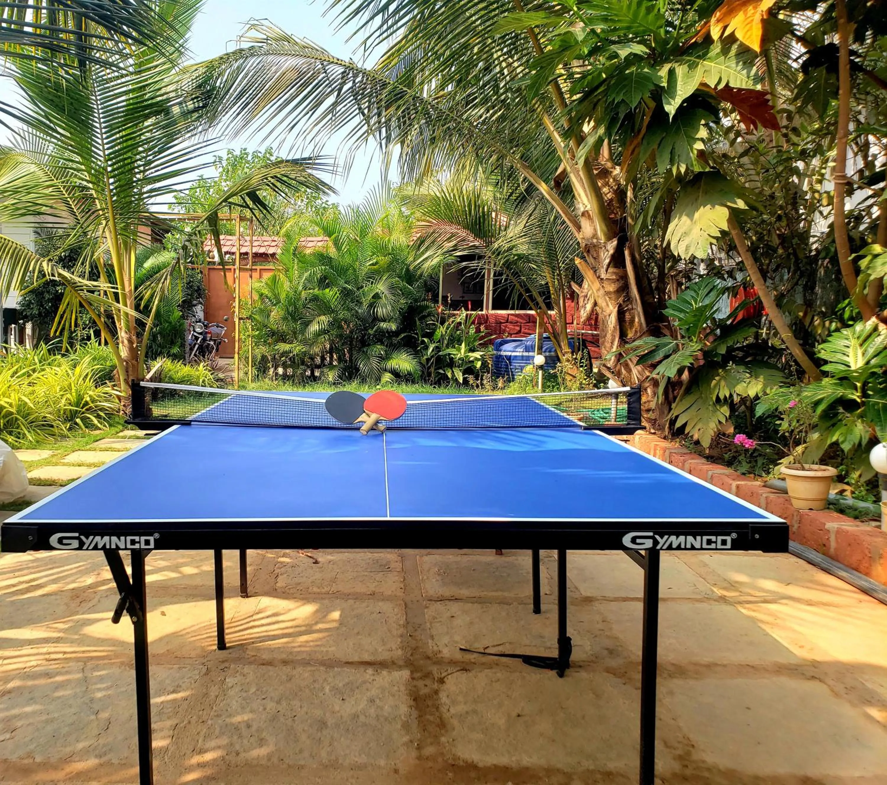 Table tennis in White Truffle Resort, Arambol