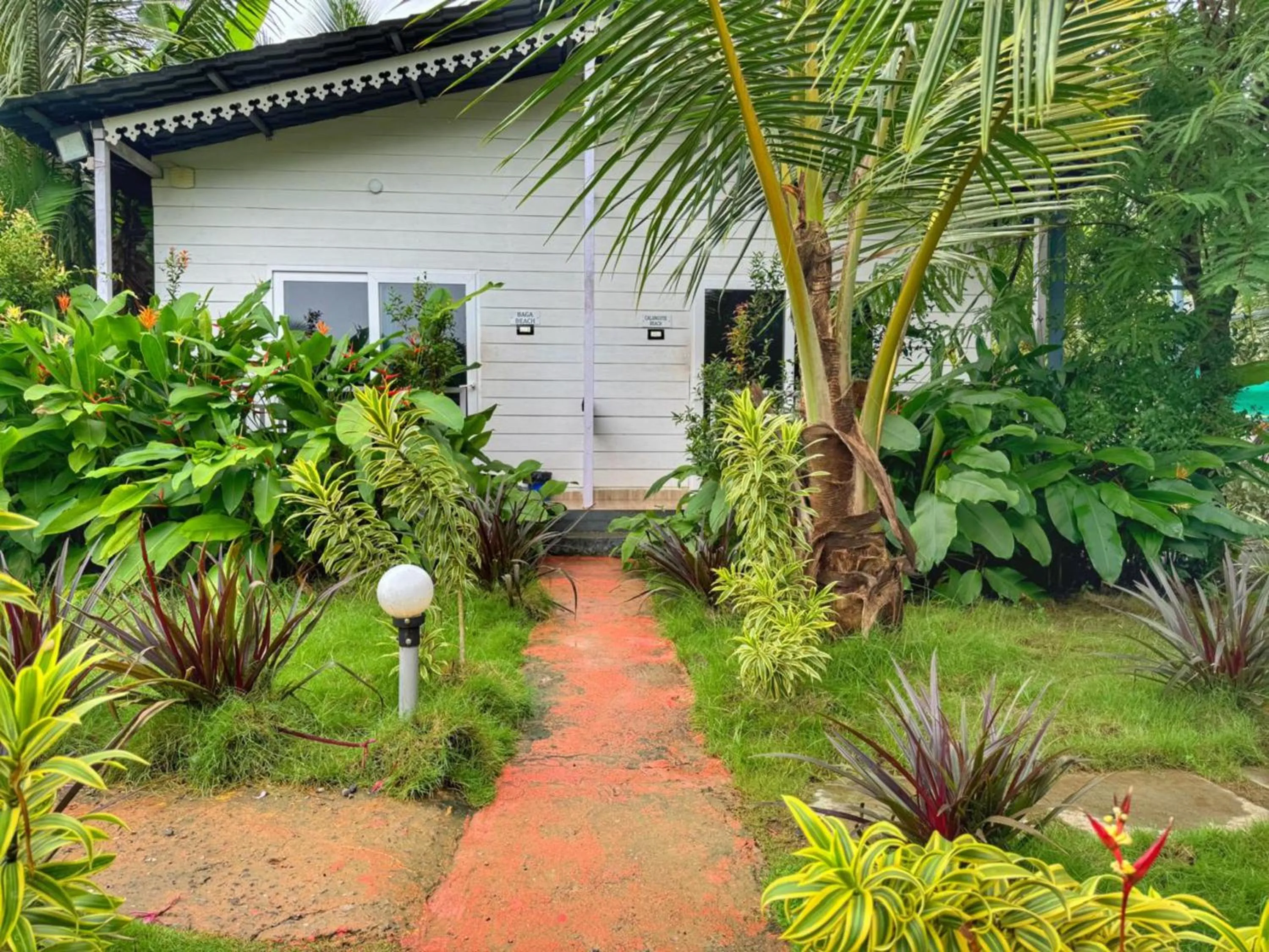 White Truffle Resort, Arambol