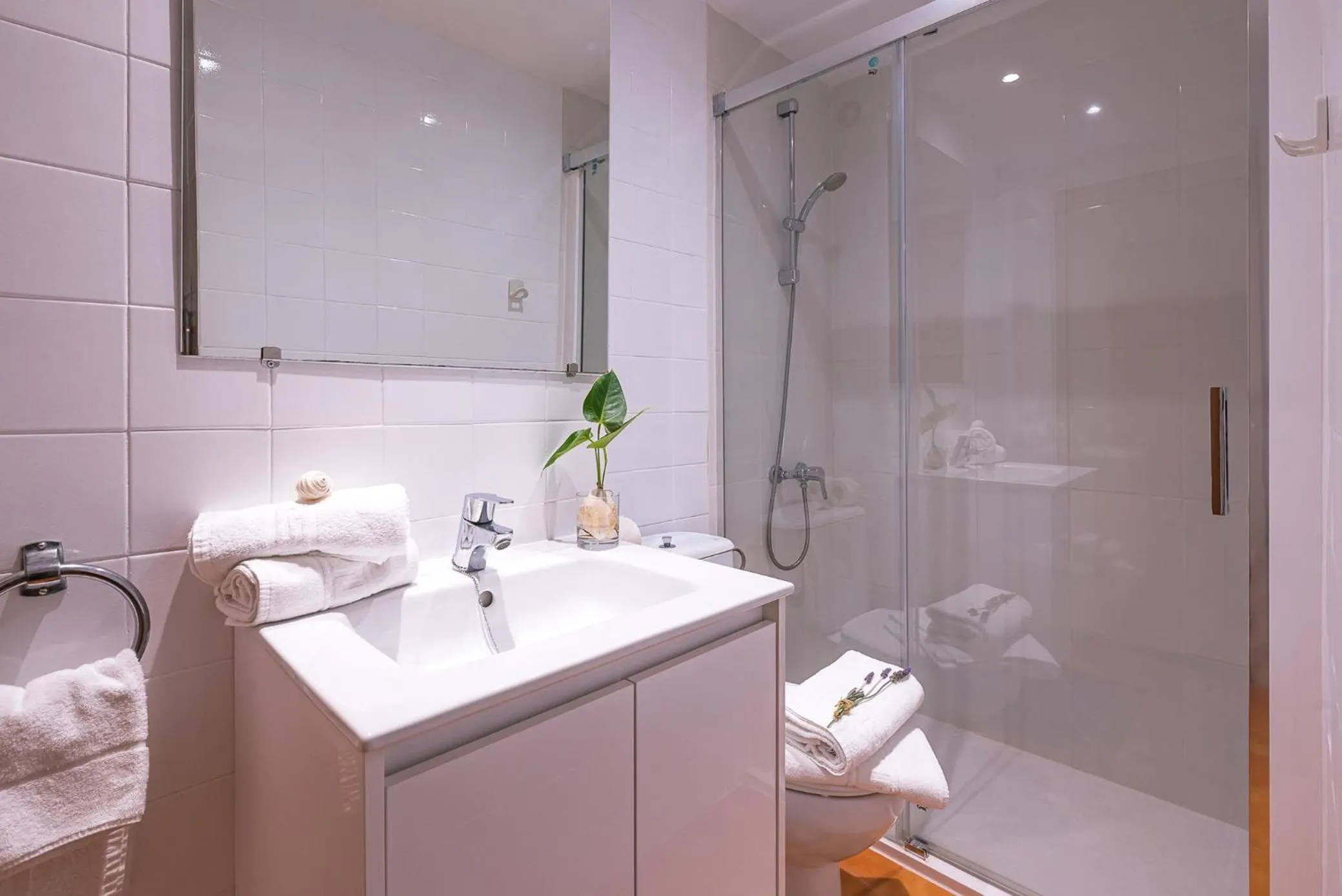 Shower in Aptos. Comte D´Empuries