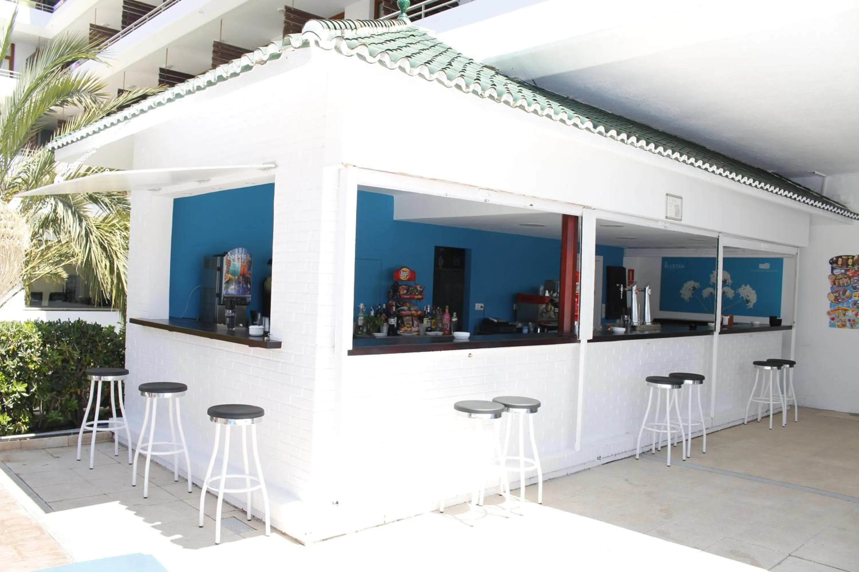 Summer in BLUESEA Gran Cervantes