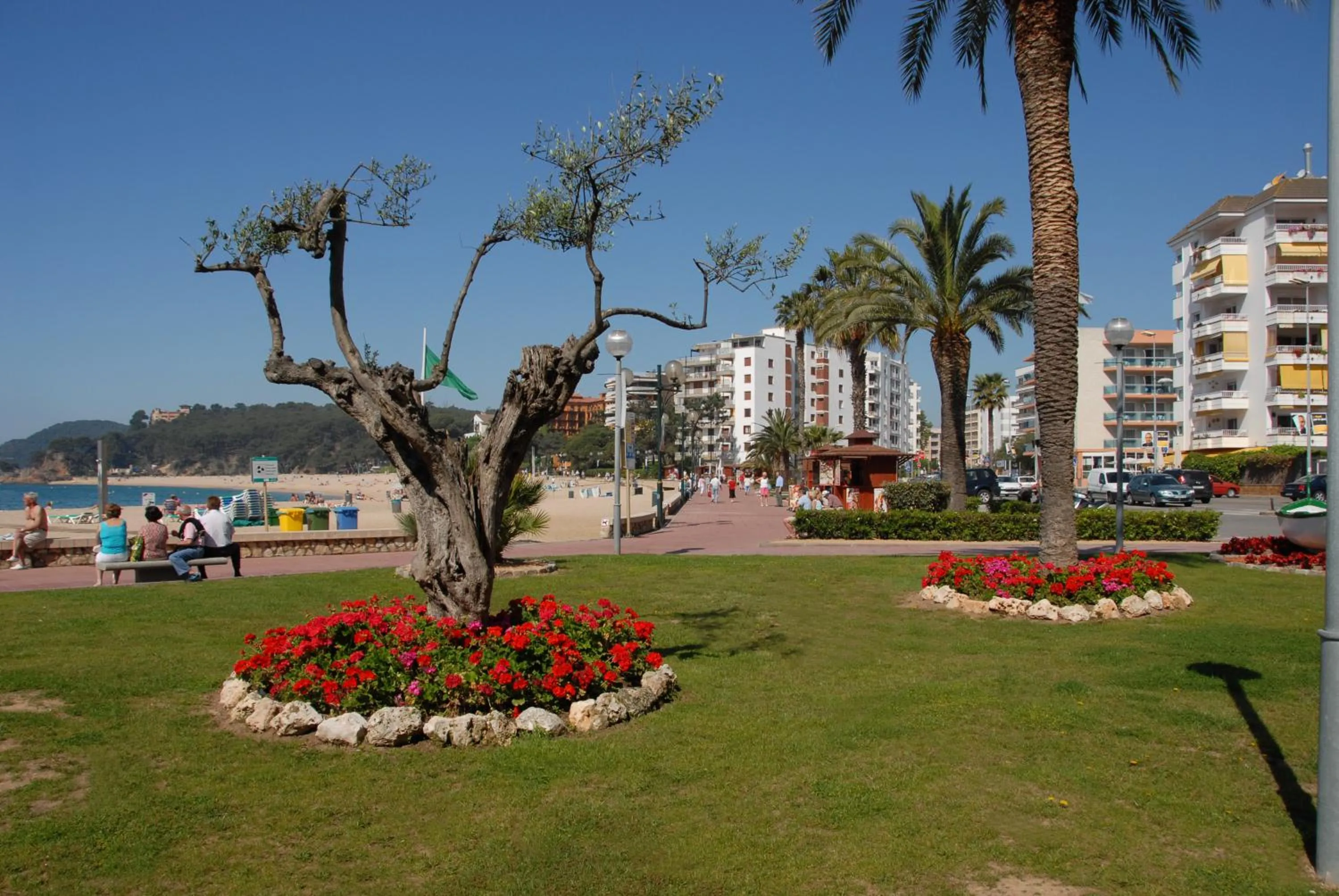 Beach in Apartamentos Eldorado