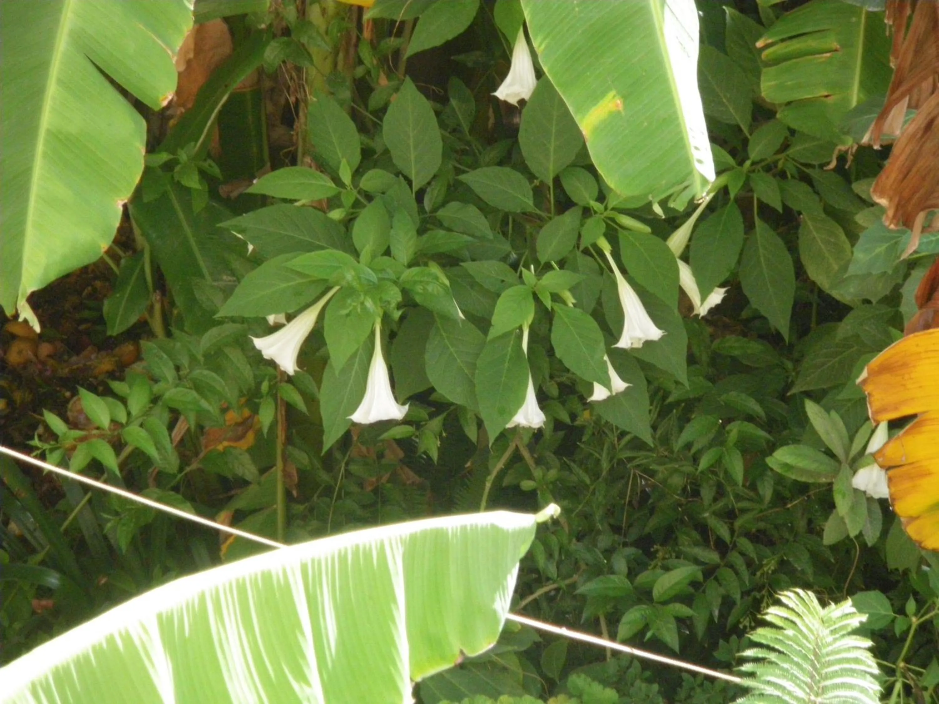 Restaurant/places to eat in Riad Idrissy