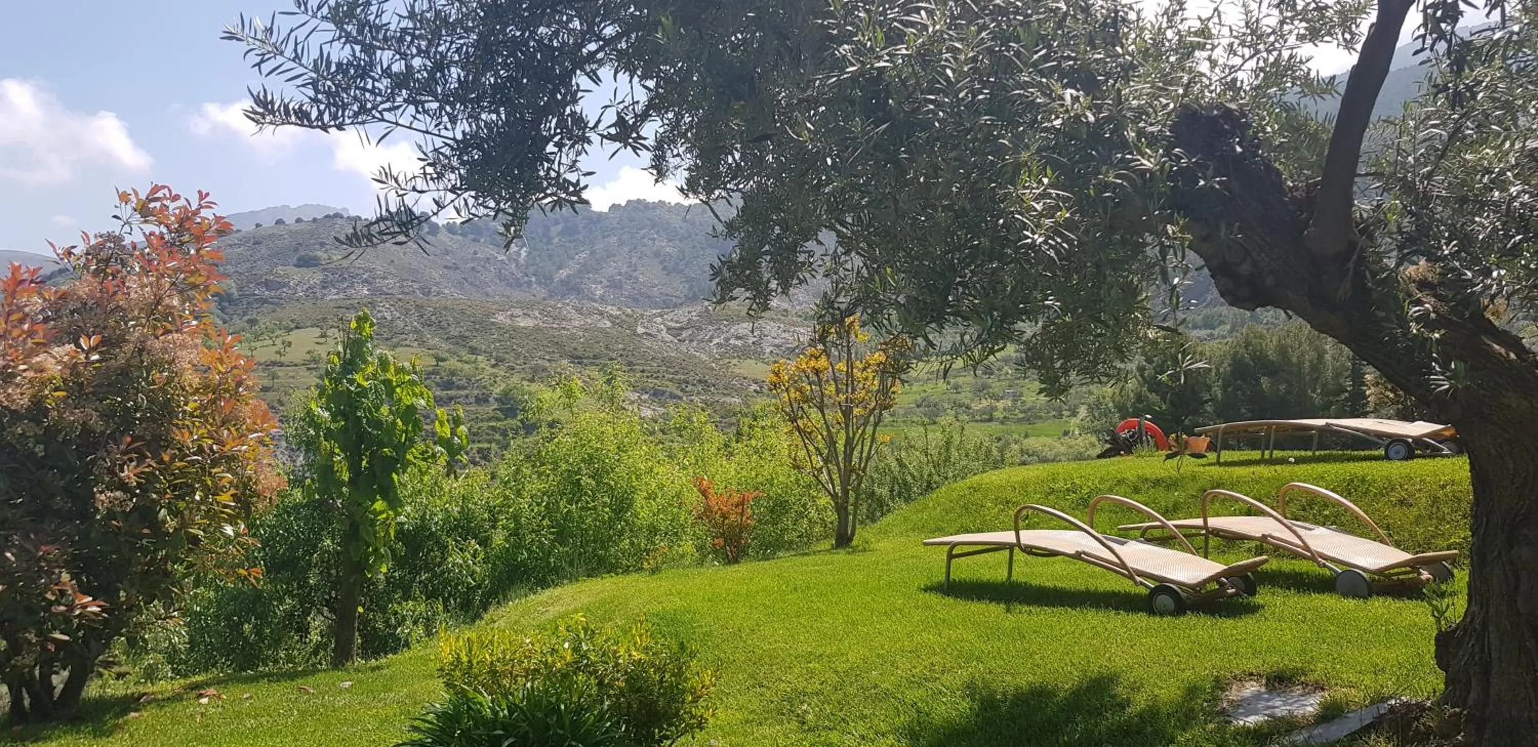 Garden in La Almunia del Valle