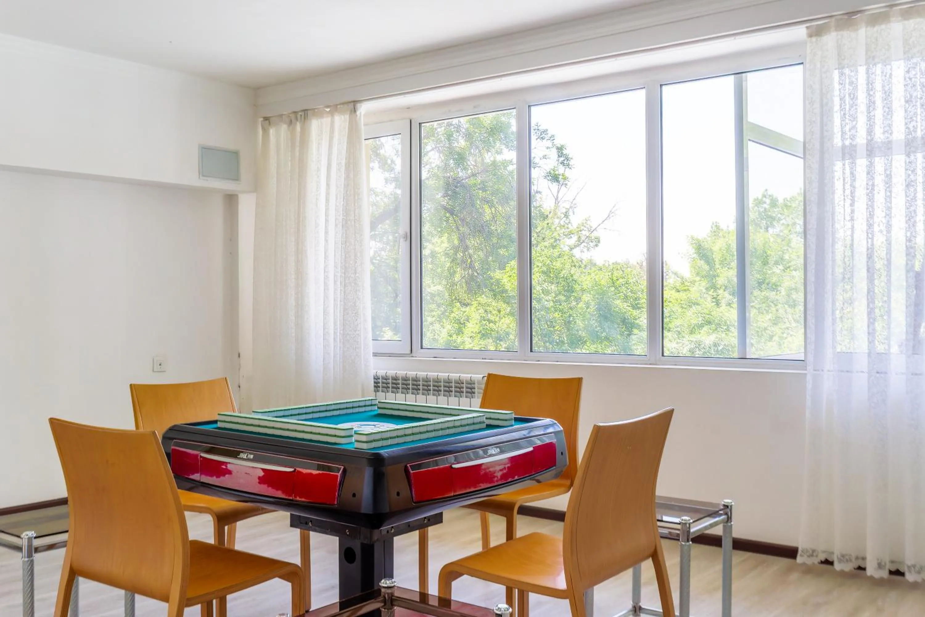 Game Room in CENTRAL ASİA HOTEL