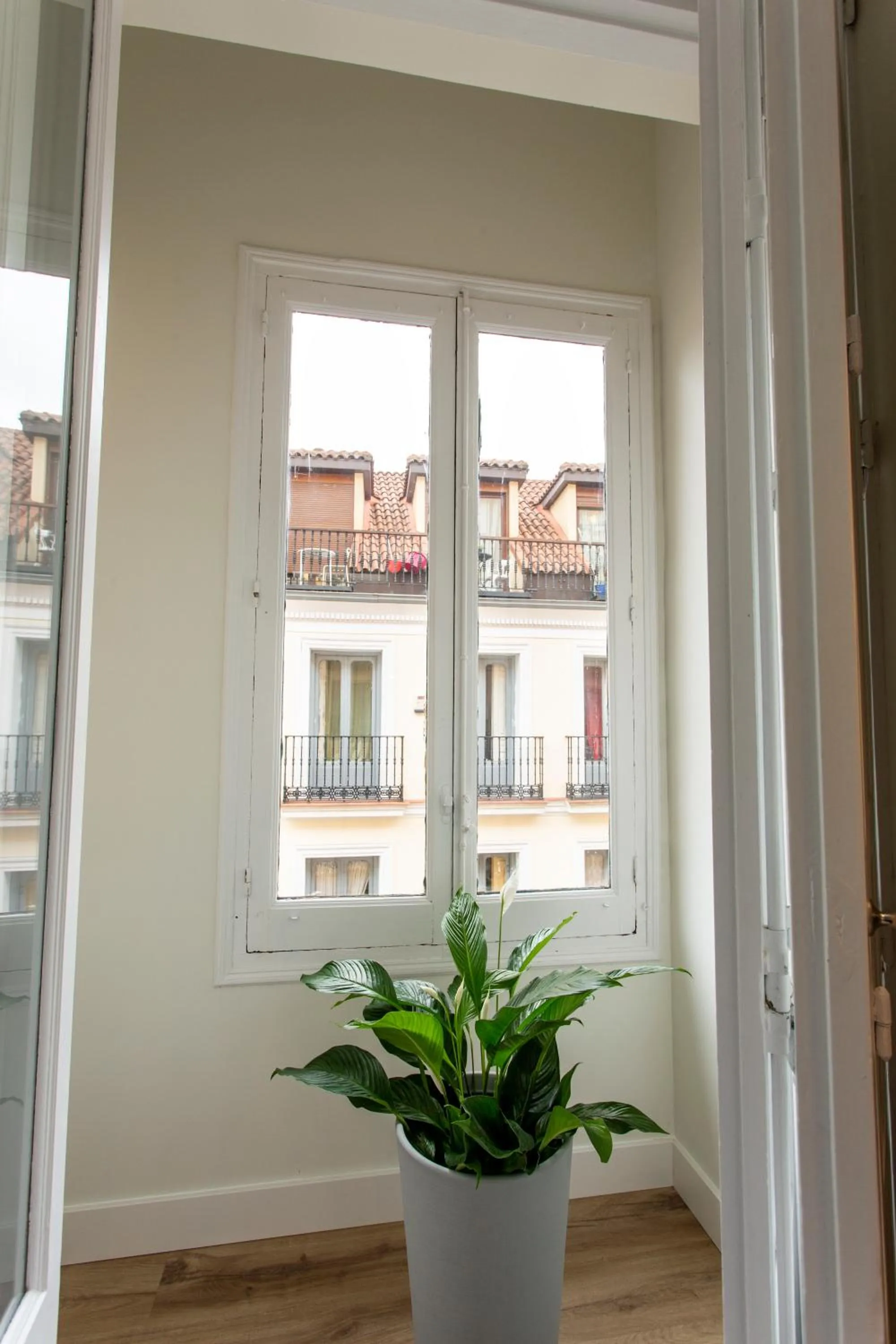 Decorative detail in Hostal Manuela by gaiarooms