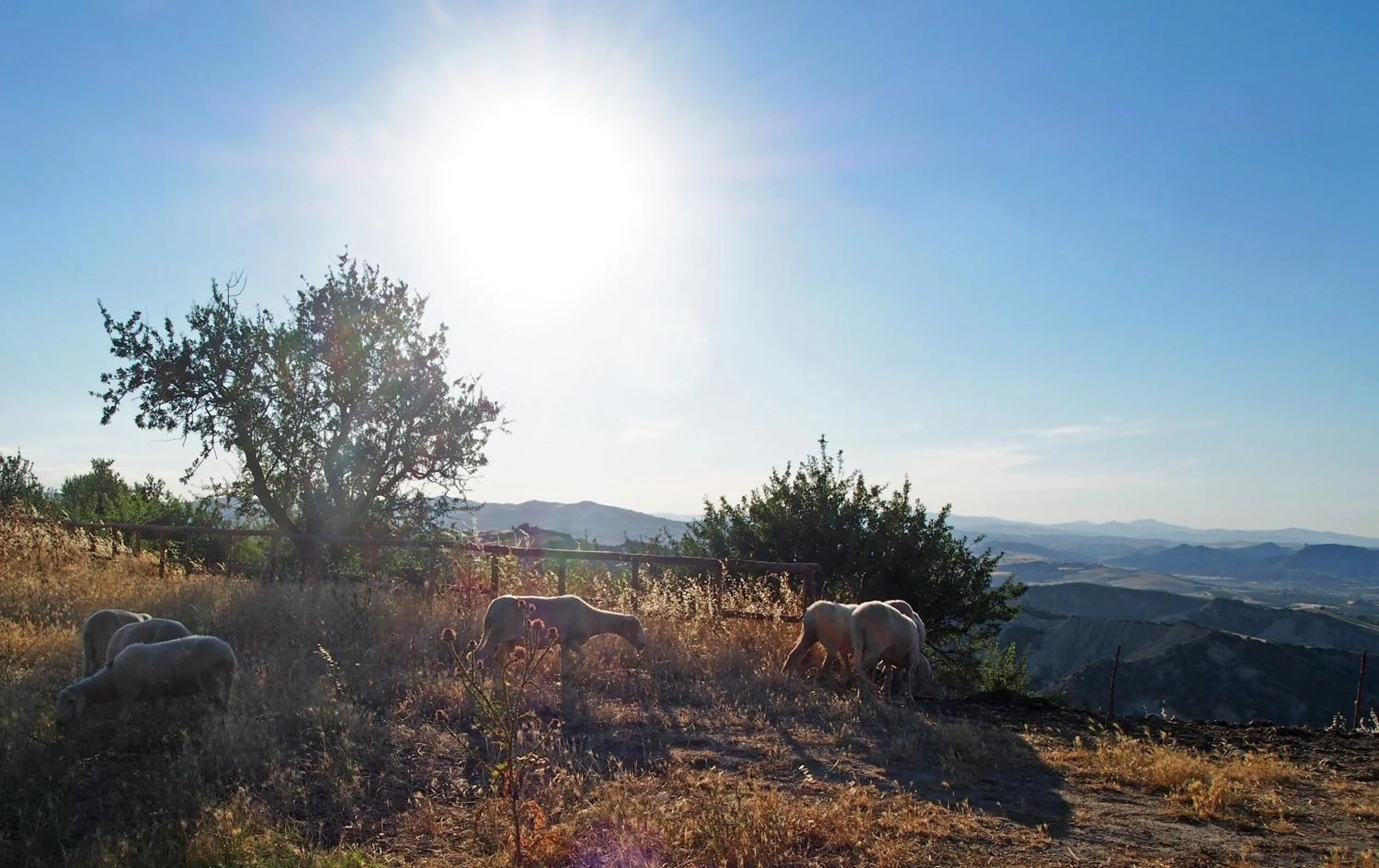 Natural landscape in Il Belvedere