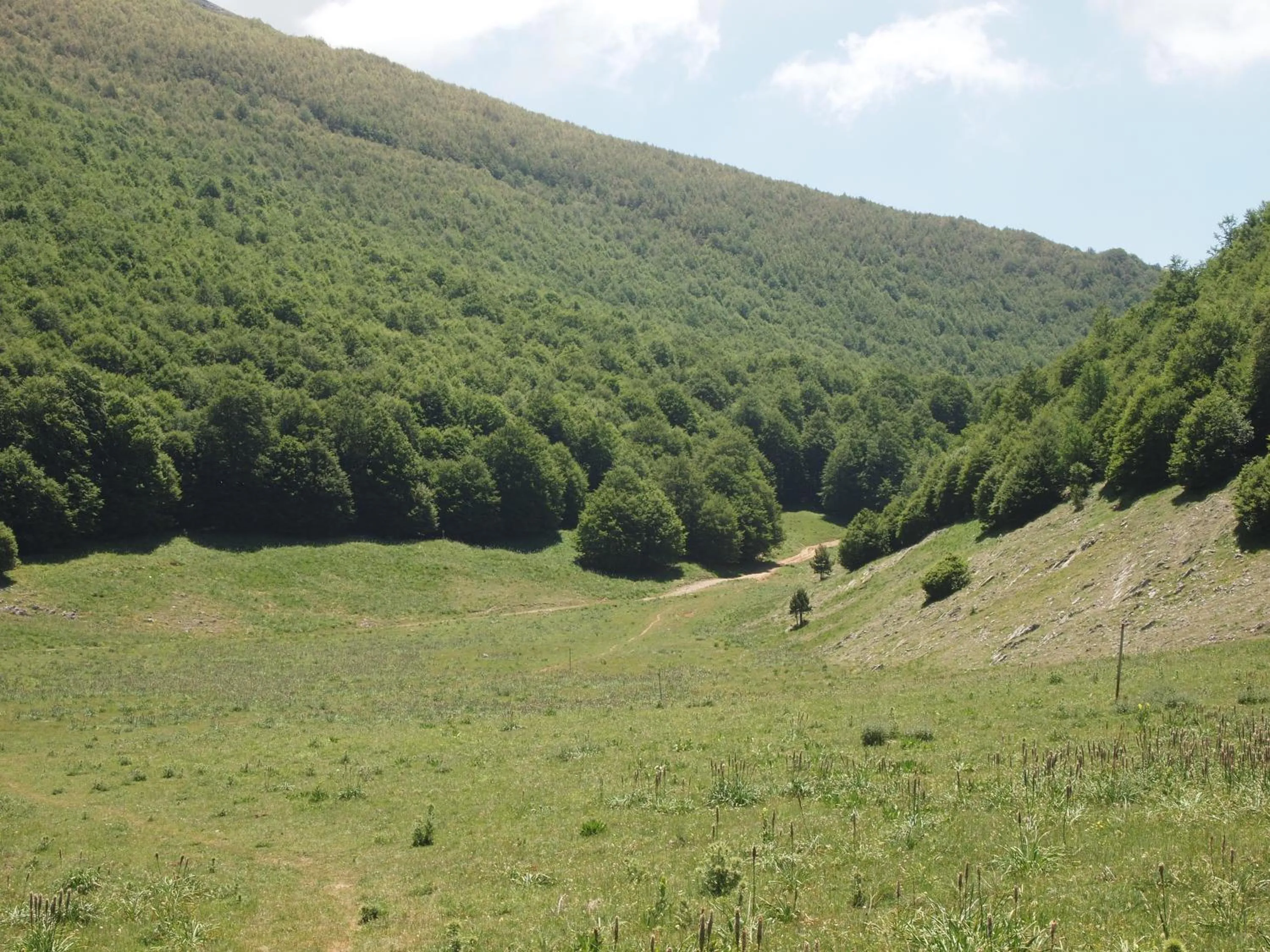 Nearby landmark in Il Belvedere