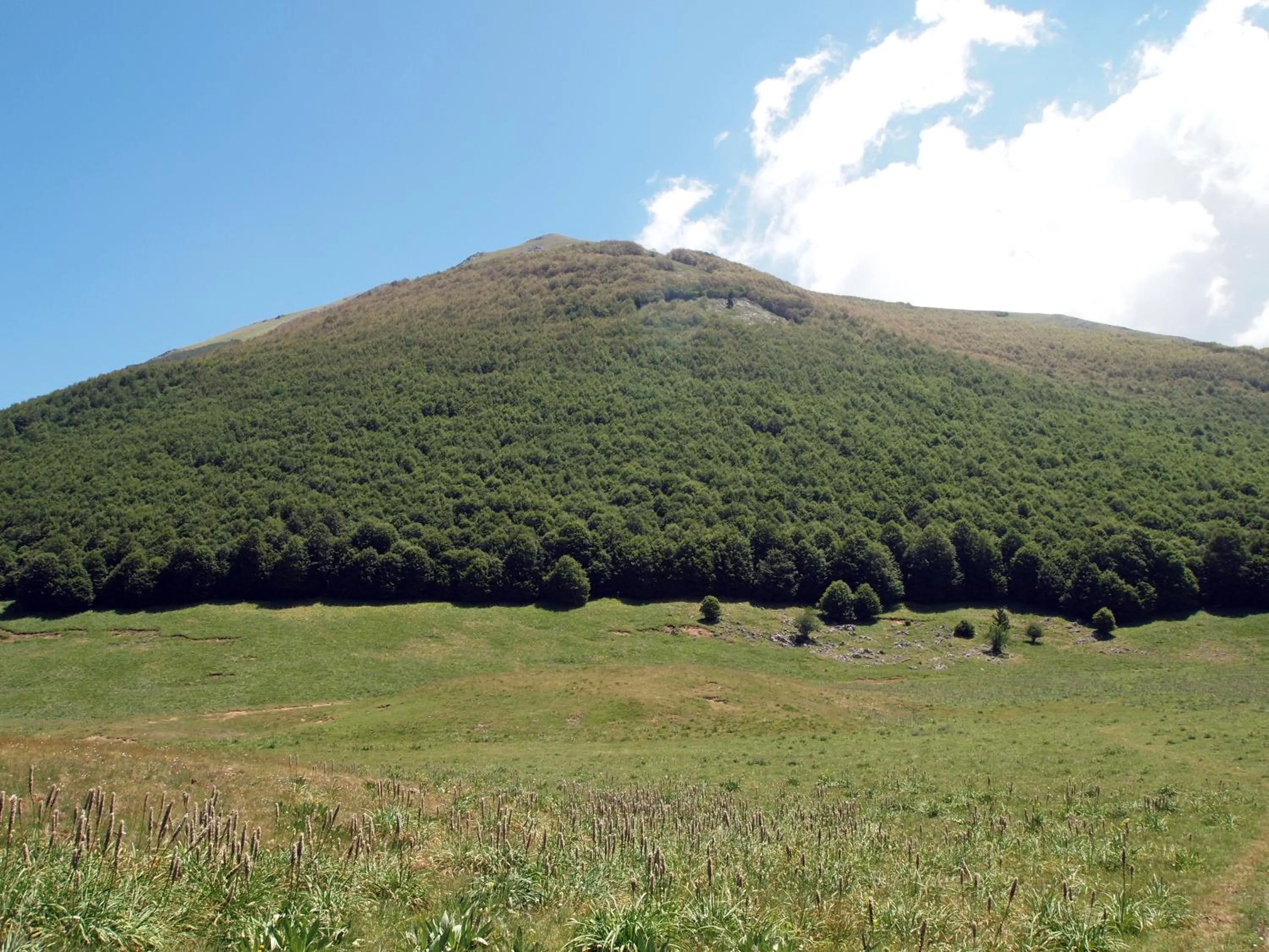 Natural landscape in Il Belvedere